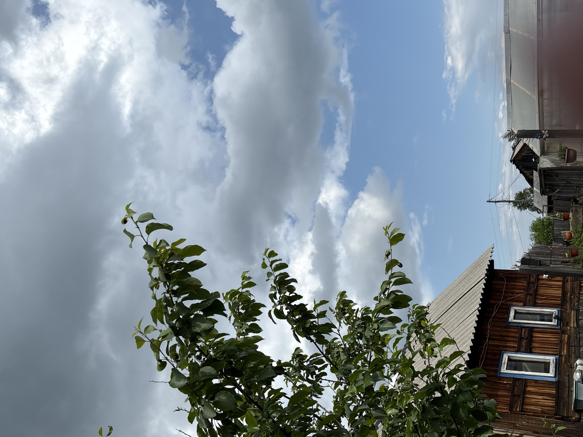 The image captures a rustic scene with a focus on the sky and a wooden building. The sky is filled with dramatic, grey clouds interspersed with patches of bright blue, suggesting a dynamic weather system, possibly with the threat of rain but also moments of sunshine. The time of day appears to be daytime, given the brightness and cloud formations.
In the foreground, branches of a leafy green tree extend into the frame from the left, their leaves a vibrant contrast to the sky. Some small, round fruits are visible on the branches, suggesting it might be late summer or early autumn.
To the right of the image, a weathered wooden building with a corrugated roof dominates the scene. The building's facade is made of dark, horizontal wooden planks. It features two small, rectangular windows with light blue frames. The architectural style and the building materials suggest a rural or semi-rural setting.
In the background, more of the wooden structure is visible, along with some power lines and a utility pole, hinting at infrastructure in the area. Potted plants are seen on ledges of the building, adding a touch of domesticity. The overall impression is one of a somewhat old-fashioned, perhaps slightly dilapidated, rural homestead. The context provided places this scene in Bratsk, Russia. There is no visible text in the image.