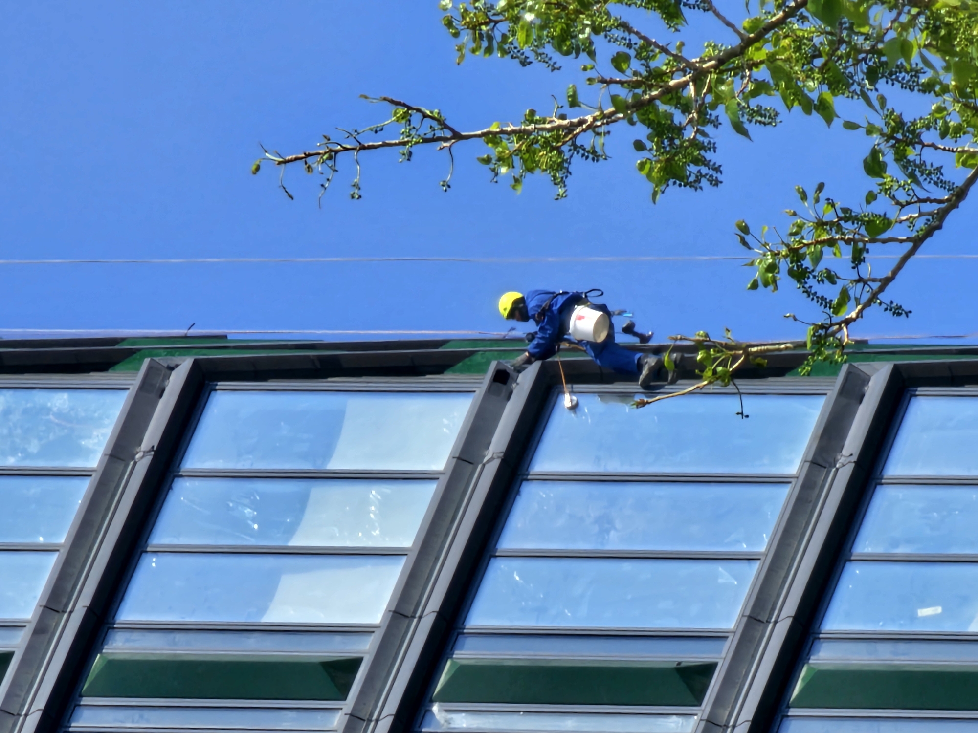 A person wearing a blue jumpsuit and yellow helmet is perched on the roof of a building in Khimki, Russia. The individual is holding a brush and bucket, possibly cleaning the building's windows. The building features multiple rectangular windows with dark frames, reflecting the clear blue sky. A tree branch with green leaves is present in the upper right corner of the image. A thin wire stretches horizontally across the sky above the building.