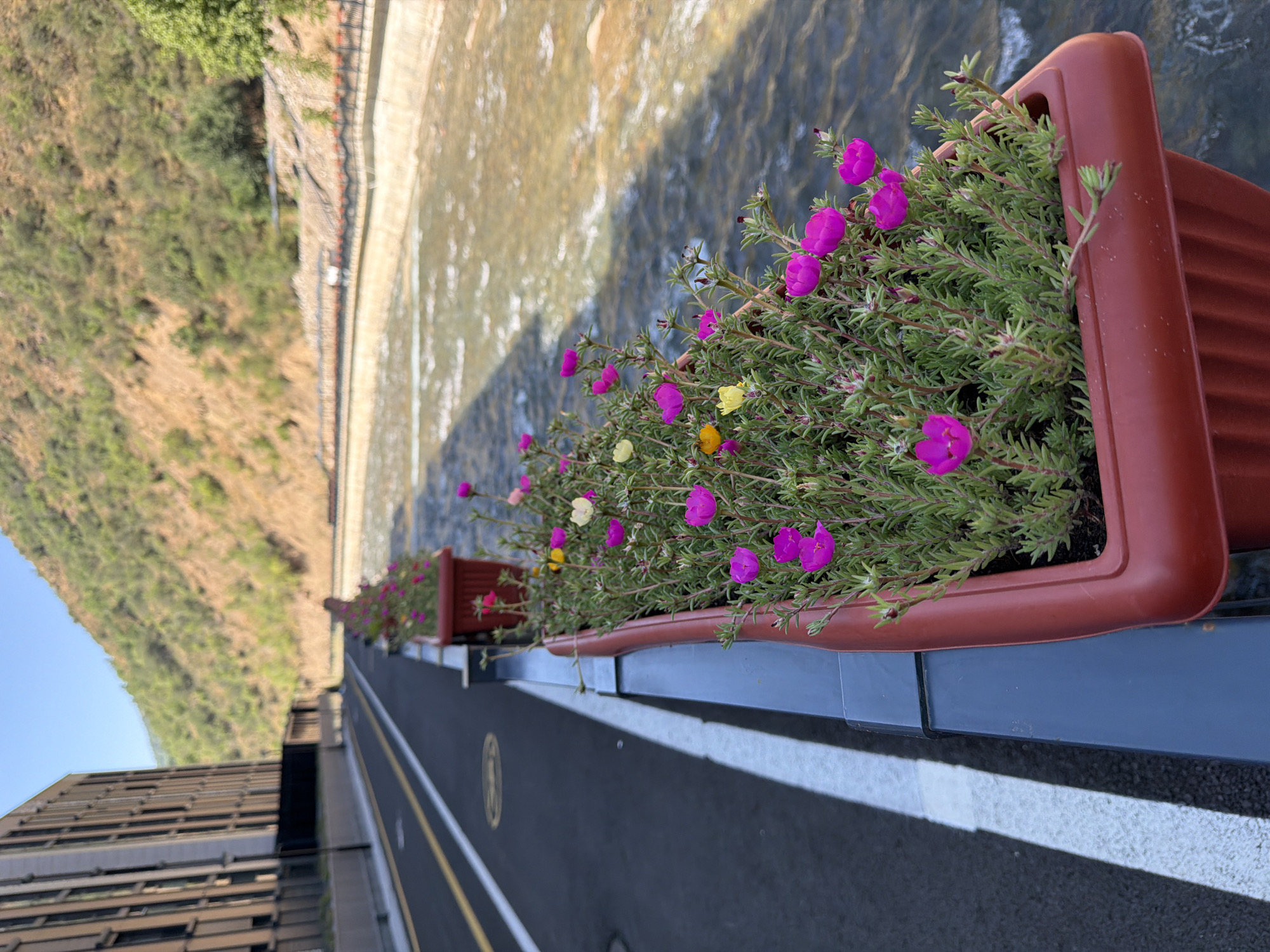 A long, brown, plastic planter box filled with dense green foliage and small pink and yellow flowers sits on a dark blue metal railing. The planter is positioned along the edge of a paved road with white and yellow lane markings. The road runs parallel to a flowing river with a concrete embankment. In the background, a brown, multi-story building with many windows stands to the left, and a steep, dry, vegetated hillside rises to the right. The scene appears to be an outdoor urban environment. The location is identified as Khumsan, Uzbekistan.
