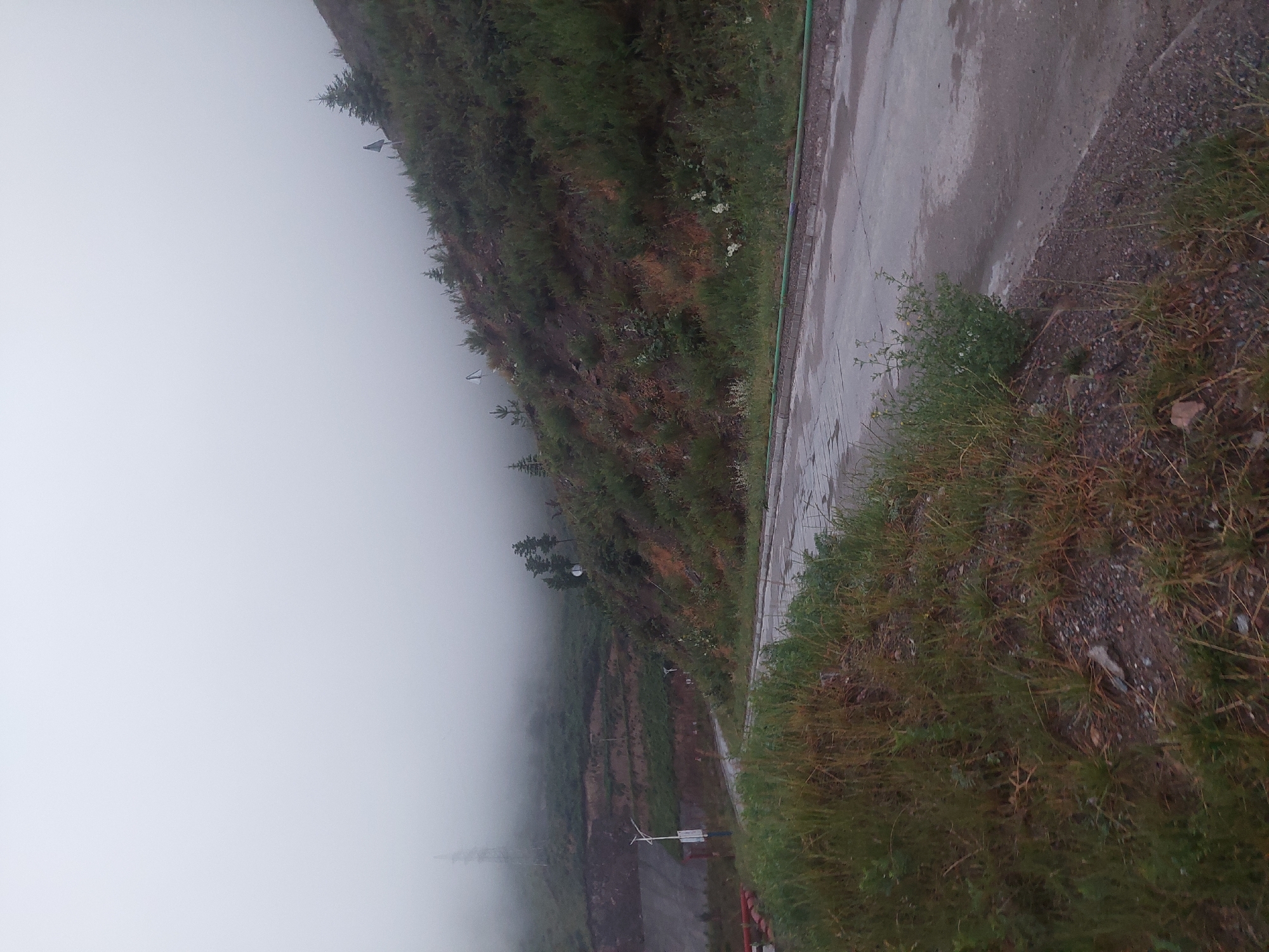 The image depicts a foggy, overcast day on a paved road that curves upwards along a hillside in Bordunskiy, Kyrgyzstan. The road is flanked by overgrown grass and sparse vegetation on the left, and a steep, vegetated slope on the right. The hillside is covered with a mix of green shrubs, dry grasses, and some scattered trees, with layers of earth visible in some sections. In the background, a large power transmission tower is faintly visible through the fog. Several small, triangular signs are also present on the hillside. The environment suggests a rural or industrial area, possibly a mining or construction site, due to the terraced earthworks visible on the left side of the road in the distance. There are no people visible in the image.