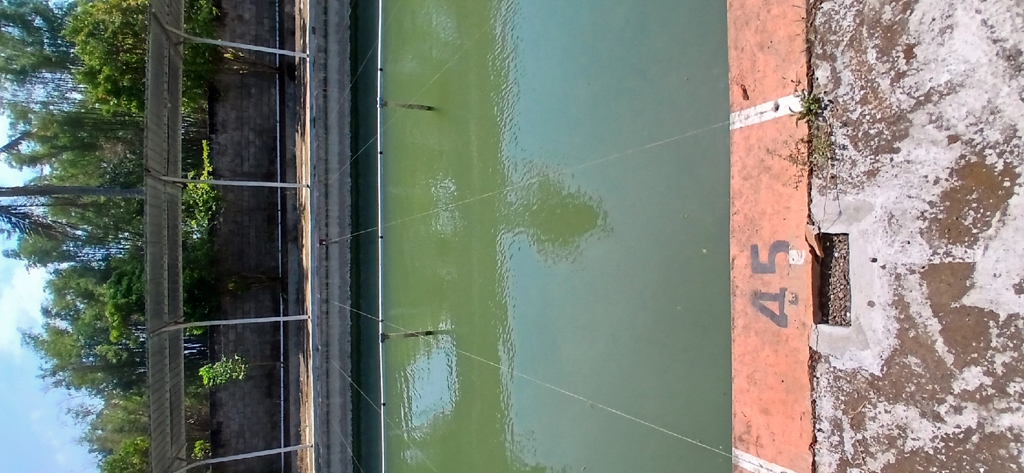 The image shows a section of an outdoor aquaculture pond in Pejaten, Indonesia. The pond has calm, green water with faint reflections of overhead structures and greenery. White lines are visible in the water, possibly marking lanes or boundaries. Along the edge of the pond, there is an orange-colored concrete barrier with the number "45" painted on it in black. To the left and right of the number are white painted lines, likely indicating further divisions. Behind the pond, a stone wall separates it from a shaded area covered by a corrugated metal roof supported by white pillars. Beyond the wall, lush green trees and foliage are visible under a bright, partially cloudy sky. The ground in the foreground is a rough, weathered concrete surface with some patches of white paint and small plants growing in cracks.