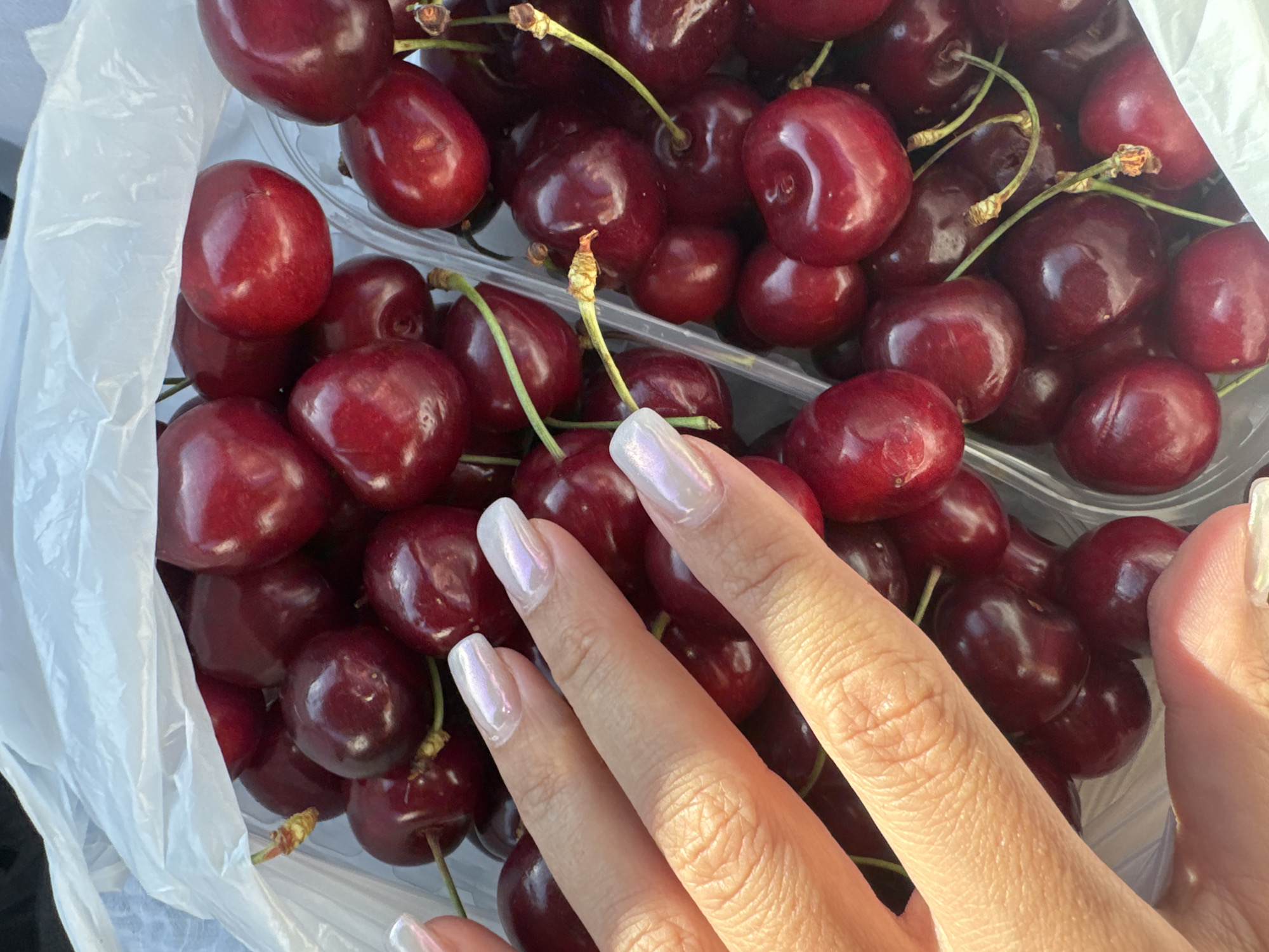 A close-up, high-angle shot captures numerous dark red cherries contained within clear plastic punnets, which are placed inside a translucent white plastic bag. A light-toned left hand is positioned on the left side of the frame, reaching into the bag. The fingernails of the visible fingers are neatly manicured into a square-oval shape and coated with a pearlescent, iridescent light purple-pink polish. The cherries are plump and glossy, with many retaining their green stems, some of which show slight browning at the tips. The scene is brightly illuminated, indicating natural daylight, with strong highlights visible on the cherries, the crinkled plastic bag, and the polished nails. This scene is located in Budva, Montenegro.
