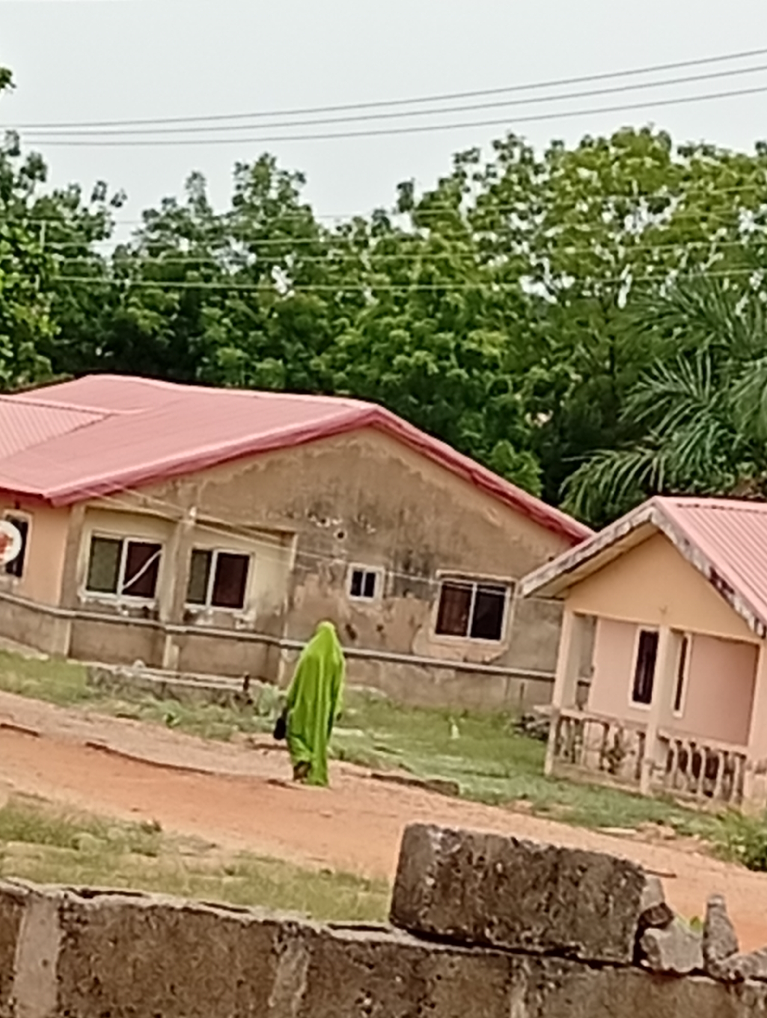 The image depicts a person wearing a green garment walking on a dirt road in Adankolo, Nigeria. Behind the person, there are two buildings with reddish-pink roofs. The building on the left is larger, has multiple windows, and is off-white. The building on the right is smaller and has a similar color scheme with a porch supported by columns. Trees are visible in the background. A concrete structure is in the foreground. Overhead power lines are visible above the trees.