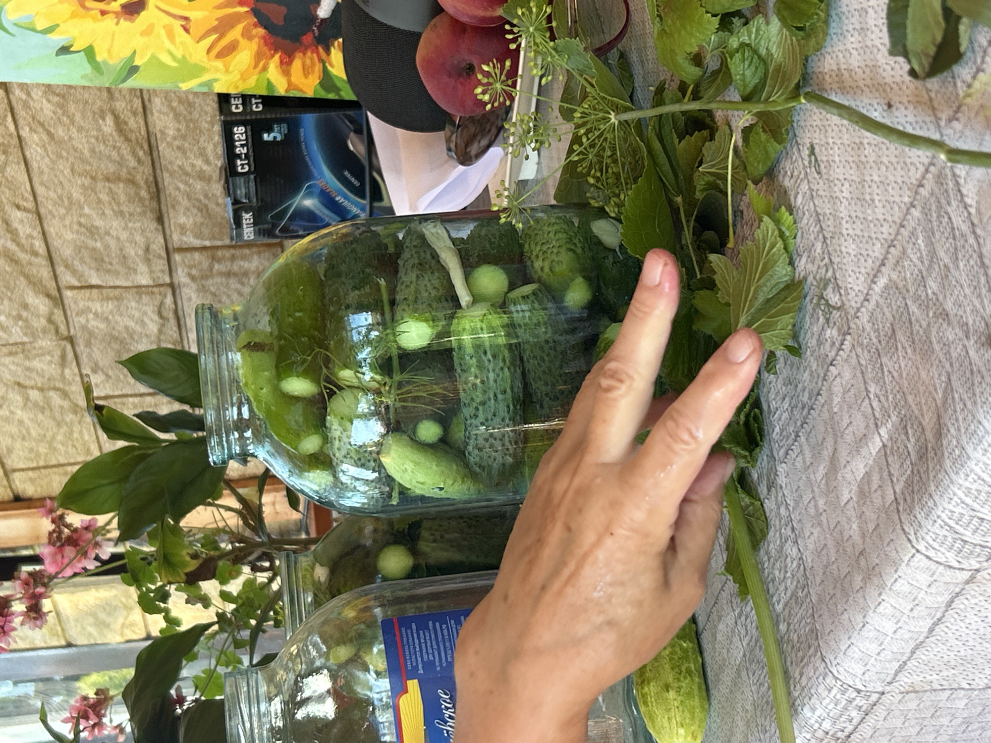 In an outdoor setting in Kalitsino, Russia, a close-up shot shows a person's hand with wet fingers reaching towards a large glass jar filled with pickled cucumbers. The jar is packed tightly with whole and sliced cucumbers, along with herbs. To the left of this jar is another partially visible glass jar, also containing pickled cucumbers. The jars are placed on a table covered with a textured grey tablecloth. Surrounding the jars and on the tablecloth are fresh green leaves and dill. In the background, a brick wall is visible, along with potted plants with pink flowers and a colorful painting of a sunflower. Boxes for electronics are stacked near the wall, and two peaches are placed on the right side of the frame. The overall scene suggests preparation for food preservation.