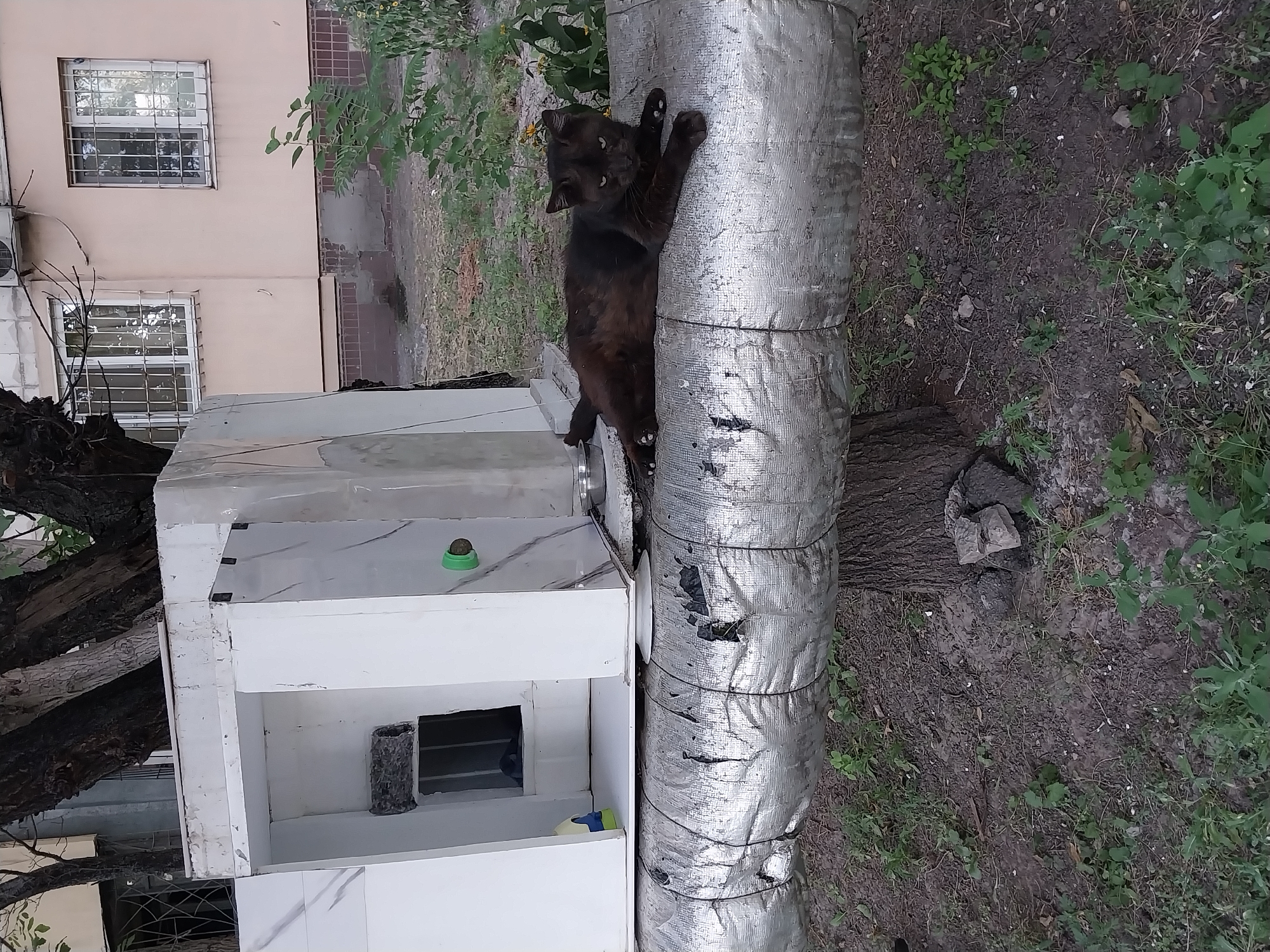 A black cat lies on a large, insulated pipe in front of a white, modular structure, possibly an outdoor air conditioning unit enclosure. The pipe is covered in silver insulation material with visible black tape and some wear. The cat is facing towards the viewer, with its head slightly raised and eyes open. The structure behind the cat is white with some reflective surfaces and a dark opening. To the left of the structure, a portion of a tree trunk is visible. The ground in the foreground is covered with dry soil and scattered green vegetation. In the background, a building with a pinkish-beige facade and barred windows is visible. The scene appears to be located in an urban environment, potentially a courtyard or residential area. The presence of the air conditioning unit and the building facade suggests a typical city setting in Dnipro, Ukraine.