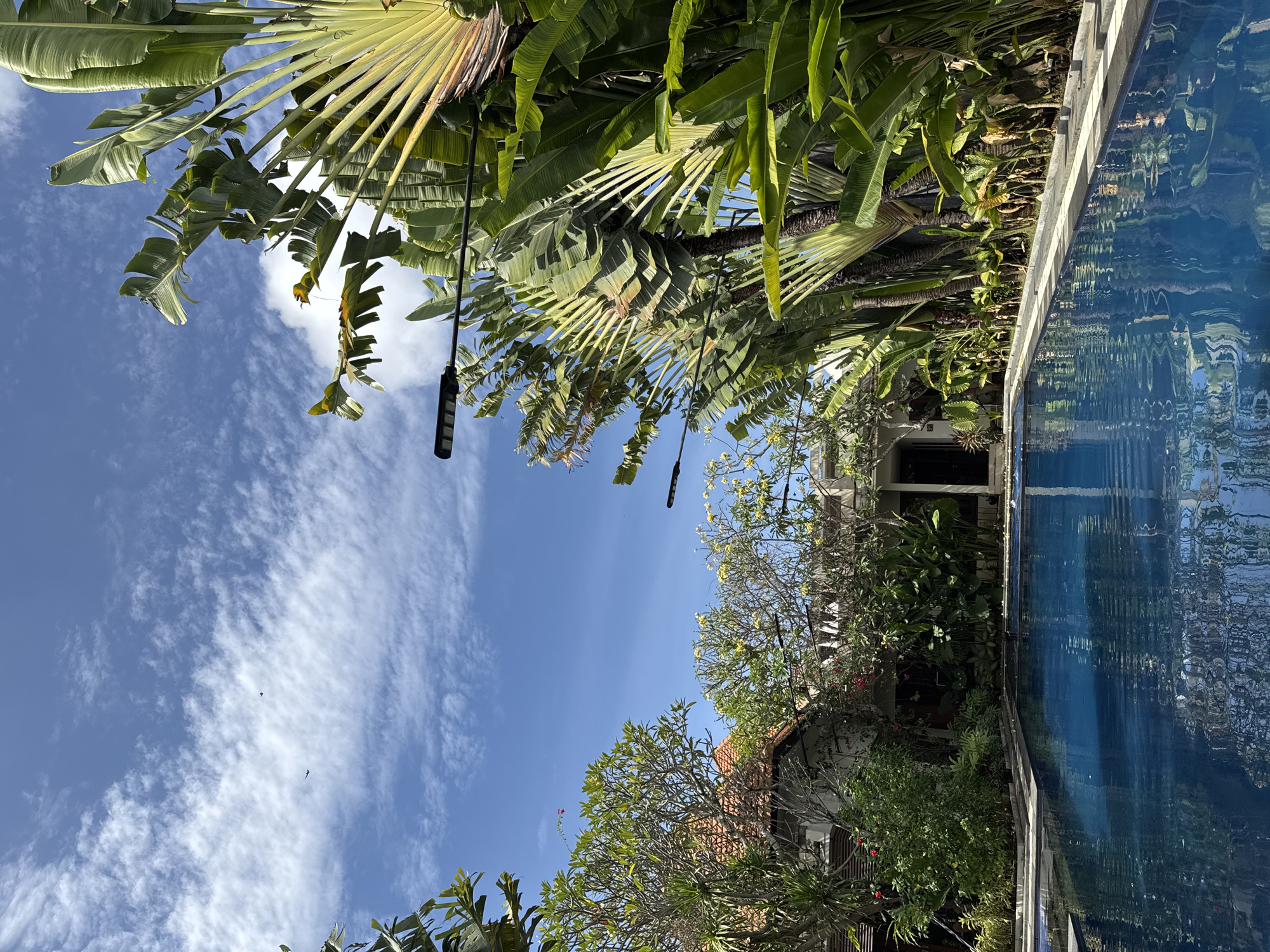 This is a wide shot of a resort swimming pool in Denpasar, Indonesia, on a clear day with a few wispy clouds. The pool is dark blue and reflects the sky. To the left of the pool are buildings with red tile roofs and lush green vegetation. To the right, tall, fan-like palm trees line the pool, with modern outdoor lamps visible between them. The scene evokes a tropical, tranquil atmosphere.