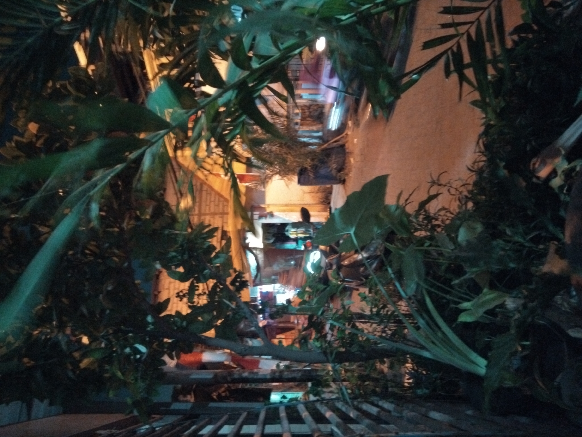 The image depicts an outdoor scene at night, likely in the city of Kepuh Kiriman, Indonesia, framed by lush vegetation. In the foreground, dense foliage partially obscures the view. Behind the plants, a street is visible with a sandy or dirt surface. Buildings line the street, appearing to be shops or homes with illuminated interiors. A motorcycle is parked on the side of the street, and motion blur indicates vehicles passing by. The overall atmosphere is dimly lit, with the warm glow of artificial lights casting shadows.