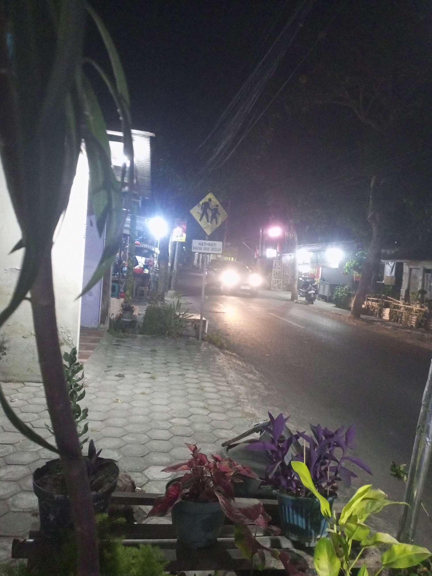 This image depicts a street scene at night in the city of Kediri, Indonesia. In the foreground, a large plant with dark, elongated leaves is partially visible on the left side. To the right of this plant, several potted plants are arranged on a dark shelf. These include a plant with dark red leaves and a plant with vibrant purple leaves. Further to the right, a plant with broad, light green leaves is also present.
The background reveals a paved sidewalk with hexagonal tiles, illuminated by artificial lights. Across the street, a road is visible, with a car approaching with its headlights on. A traffic sign with a yellow diamond shape and two figures walking is placed near the road, accompanied by a white sign with Indonesian text. Several shops and structures line the street, some lit by bright lights. A motorcycle is parked on the side of the road. Trees with dense foliage are present along the street, creating a somewhat dark and atmospheric environment. The overall scene suggests a commercial or residential street in Kediri City at night, with ongoing activity.