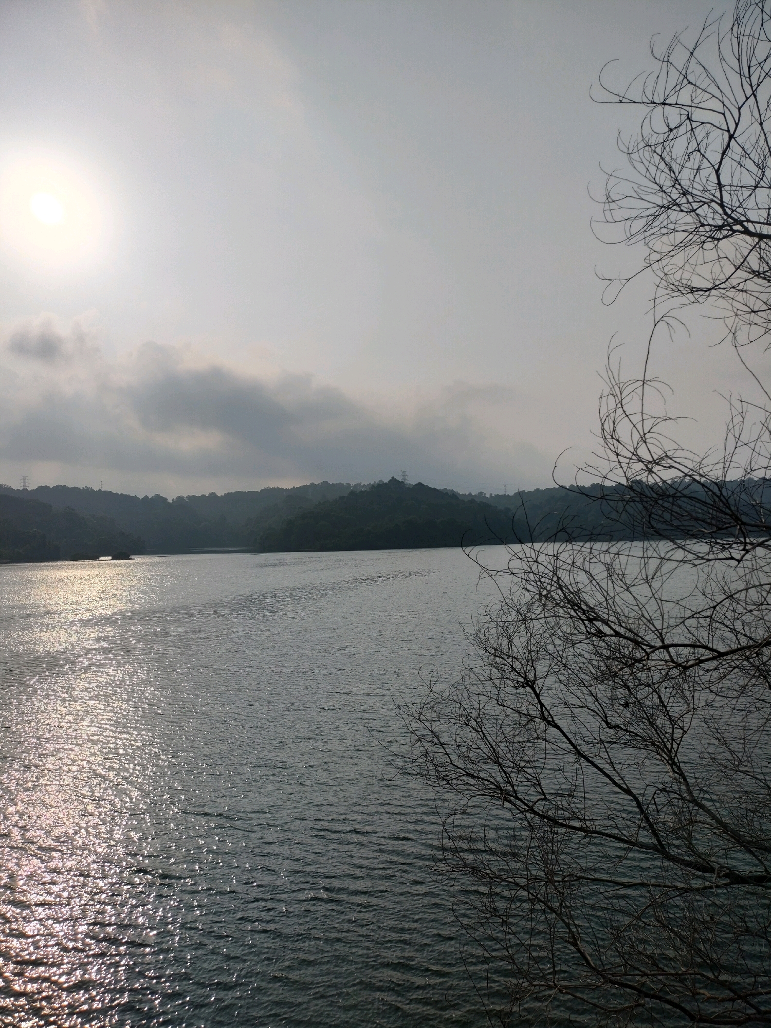 The image shows a wide shot of a calm lake with gentle ripples on its surface. The sun is low in the sky, casting a bright reflection on the water. In the foreground, a bare tree with intricate branches is silhouetted against the hazy sky. The background features rolling hills covered in lush green trees, with a few power lines visible on the slopes. The scene suggests a serene natural environment, possibly a reservoir or a natural lake, on the outskirts of Batam, Indonesia, given the presence of such bodies of water and the typical landscape. There are no people or any discernable actions or interactions depicted in the image. The environment is tranquil and appears to be captured during daylight, possibly late afternoon or early morning.
