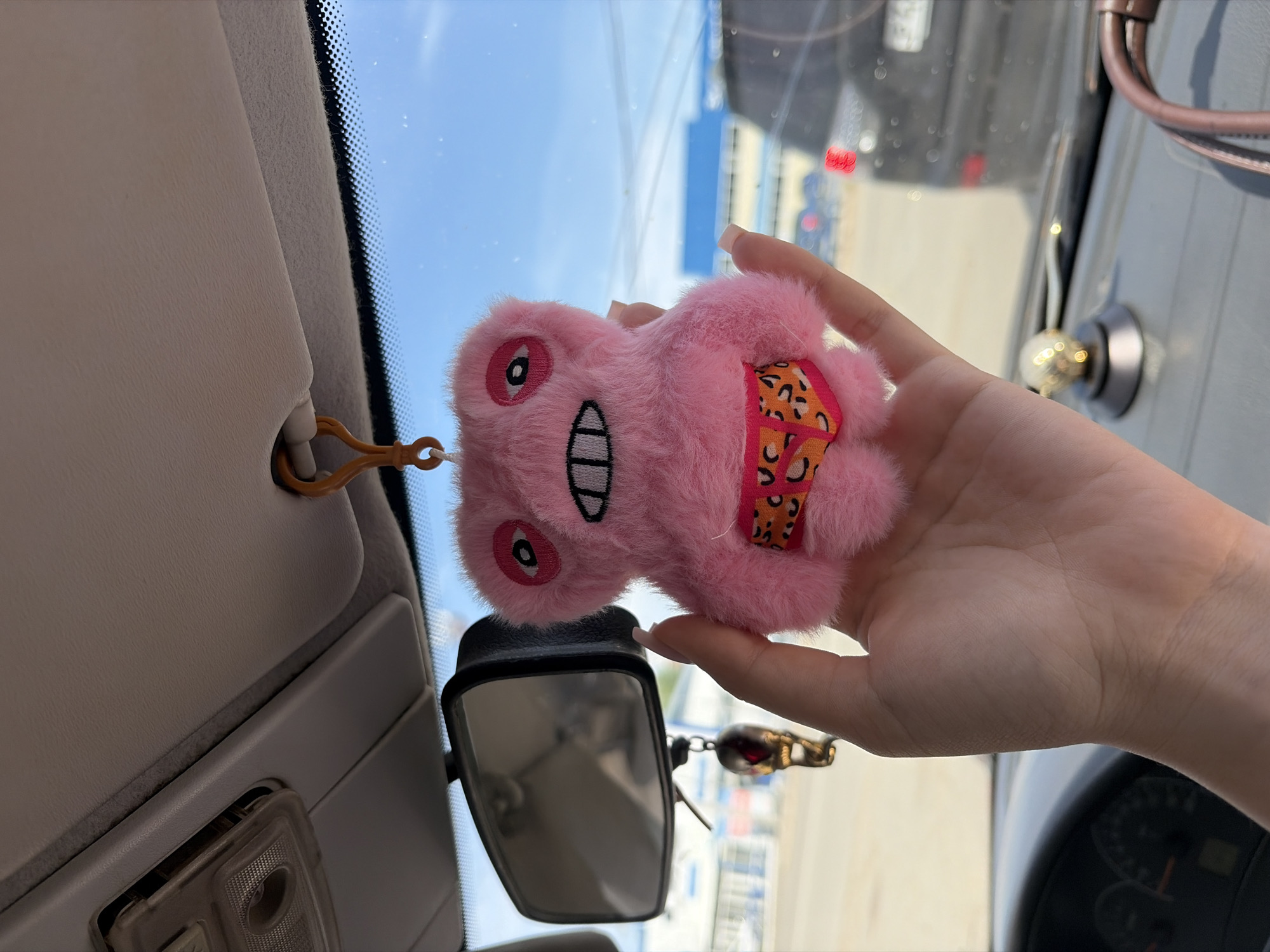 A close-up, interior car scene featuring a hand holding a pink plush toy with a leopard print patch and cartoon-like features. The toy is positioned near the rearview mirror. The sun visor and interior light are visible in the upper left. Outside the car windows, there are indistinct views of buildings and other vehicles, suggesting an urban setting, with an approximate location being Chaikovsky, Russia. The overall impression is that the toy is either being removed from or attached to the car's interior.