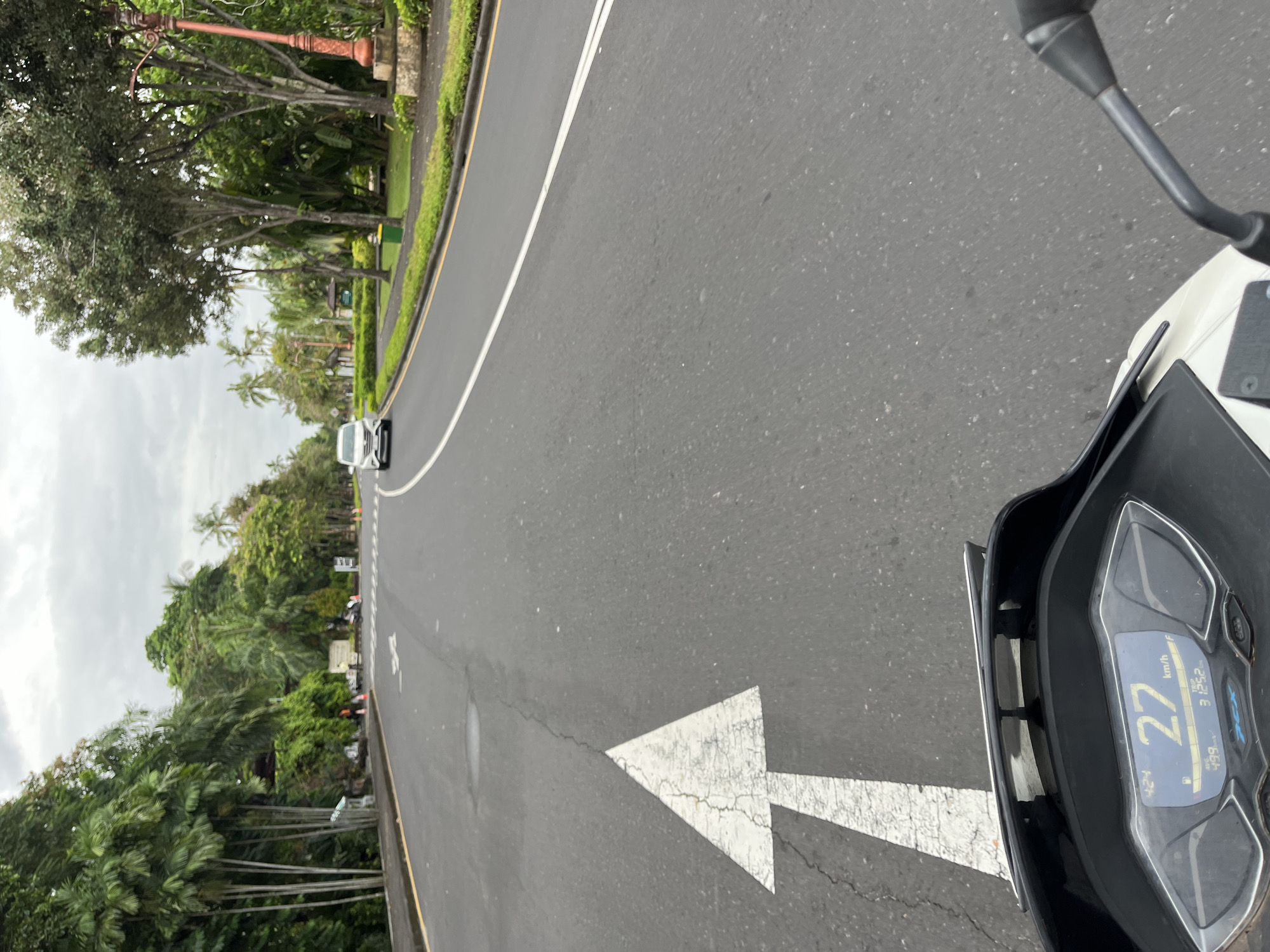 The image provides a first-person perspective from a scooter or motorcycle traveling on a curved asphalt road in Kuta Selatan, Indonesia. The road features a solid white line separating lanes and a yellow line along the left edge, next to a grassy median. A prominent white arrow is painted on the road, indicating a forward or slight right turn.
Lush tropical vegetation, including various trees, bushes, and palm trees, lines both sides of the road, suggesting a verdant and natural environment. A white car is visible in the distance, further along the road. On the left side, beyond the trees, several parked motorcycles or scooters can be seen. An ornate, reddish-brown street lamp post is also visible among the trees on the left.
The lower right portion of the frame shows the dashboard and handlebars of the scooter. The digital display on the dashboard indicates a current speed of "27 km/h," a trip distance of "313.2 km," and a time of "4:24." The scooter model name "PCX" is also visible on the display. The sky appears overcast, suggesting cloudy weather. The scene depicts a leisurely ride through a tropical landscape.