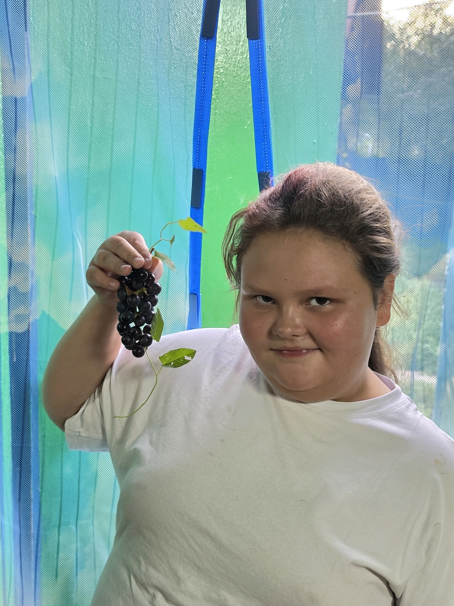 A young girl with auburn hair pulled back and wearing a white t-shirt stands in front of a blue and green mesh curtain. She is holding a small bunch of dark purple grapes with a vine and leaves in her right hand, extending them slightly towards the camera. Her gaze is directed at the camera, with a faint smile on her face. The background suggests an outdoor setting with dappled light filtering through the mesh.