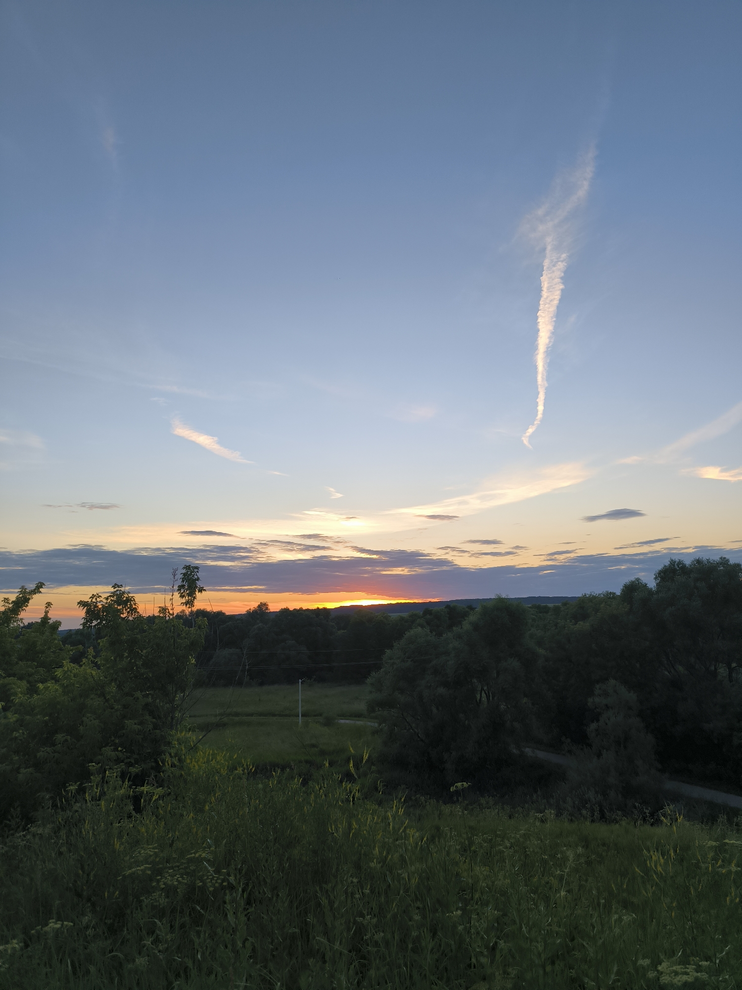 The image depicts a rural landscape at dusk, likely in or near Uzunovo, Russia. The sky is a gradient of soft blues, oranges, and pinks, with a distinct contrail stretching diagonally across the upper portion. Below the sky, a dark line of trees marks the horizon, with hints of rolling hills beyond. In the foreground, tall, green grass and foliage dominate, with a few scattered trees. The overall scene is serene and natural, with no visible signs of human activity or structures, other than a single utility pole visible in the mid-ground. The lighting suggests either sunrise or sunset, with the sun low on the horizon and casting a warm glow.