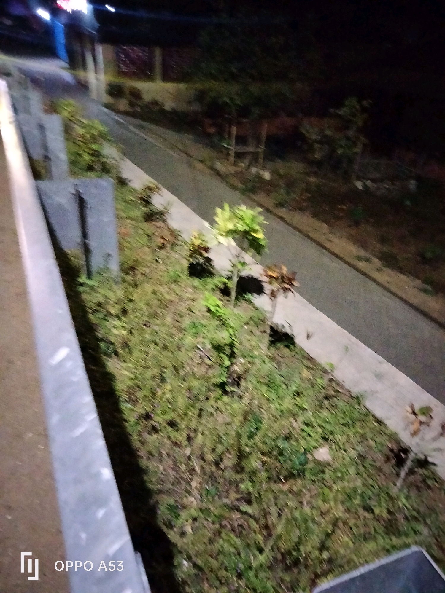 The image depicts a slightly blurred nighttime view of a grassy area adjacent to a paved pathway. A light-colored metal railing runs along the left side of the frame. Several dark vertical posts are visible in the grassy area, some appearing to be part of a fence or landscaping feature. In the background, there is a darker area with trees and what might be a building structure, illuminated by some distant lights, including red and white lights. The overall setting appears to be an outdoor urban environment, possibly a park or a sidewalk area in Bendo, Indonesia, given the text overlay "OPPO A53" which is a mobile phone model.