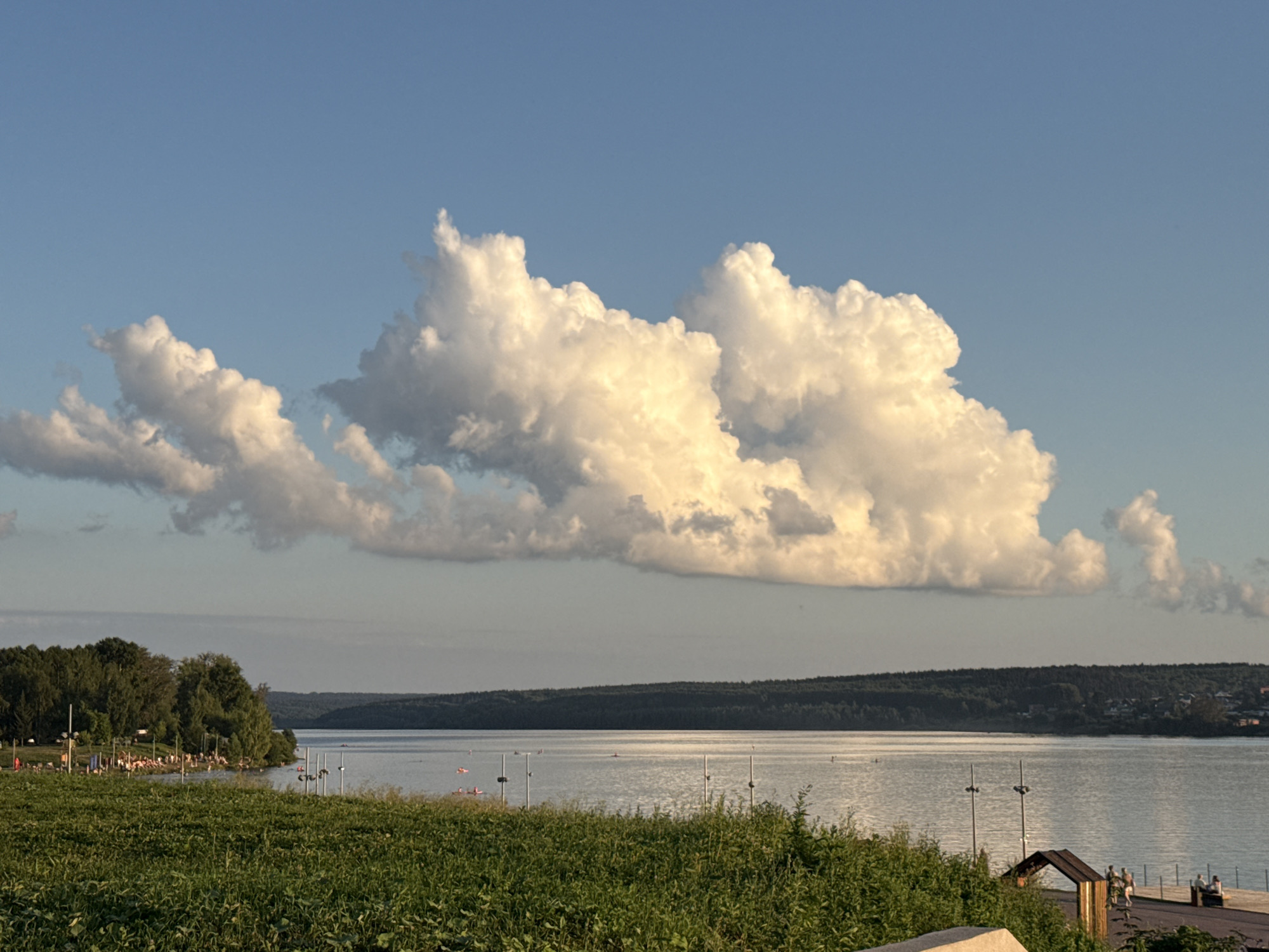 This is a photograph of the Lysva Reservoir in Lysva, Russia, taken on a clear day with a few scattered clouds. The reservoir occupies the middle ground of the image, with its calm waters reflecting the bright sky. A lush green field of vegetation fills the foreground, obscuring the lower portion of the scene. Along the left bank of the reservoir, a wooded area is visible, dotted with people sunbathing and enjoying the water. A row of trees stretches across the horizon, forming a dark green band that contrasts with the lighter hues of the sky and water. The sky itself is a vibrant blue, with large, fluffy white clouds dominating the upper portion of the frame. The overall impression is one of a peaceful, natural setting, likely a popular recreational area.