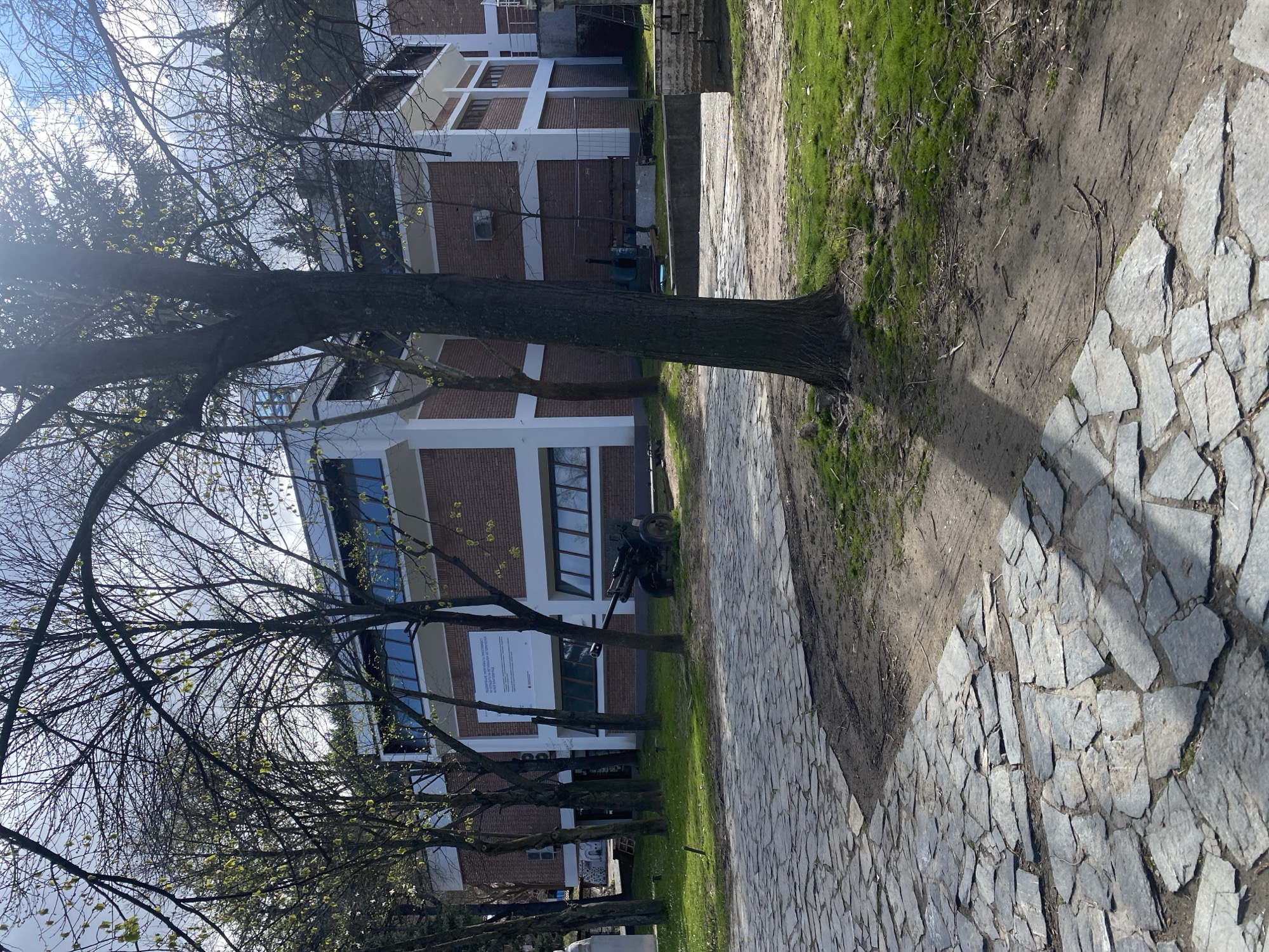 The image captures a street scene in Blagoevgrad, Bulgaria, featuring a paved pathway made of irregular grey stones. A grassy strip runs parallel to the path, bordered by a row of trees with bare branches and emerging leaves. In the background, a multi-story brick building with white trim and blue-tinted windows is visible. Near the building, a black artillery gun stands on the grass. The lighting suggests a sunny day.