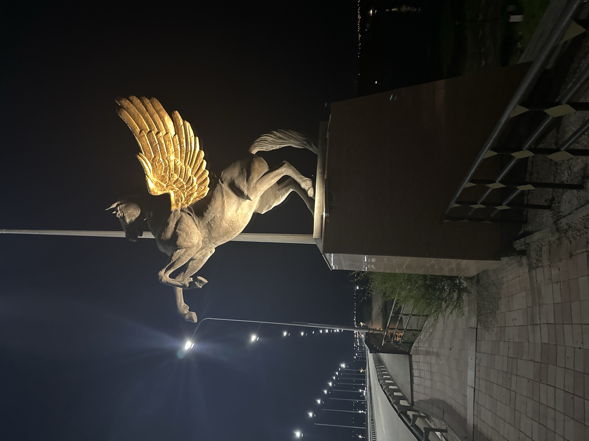 The image shows a statue of Pegasus with golden wings, illuminated at night. The statue is situated on a pedestal next to a sidewalk and a highway with streetlights. In the background, there is a body of water and distant lights, suggesting an urban or semi-urban environment. The statue is prominently featured, with its golden wings catching the light and creating a striking visual effect against the dark sky. The overall scene conveys a sense of grandeur and nighttime illumination. This statue is located on the Tobol River embankment in the city of Kostanay, Kazakhstan.