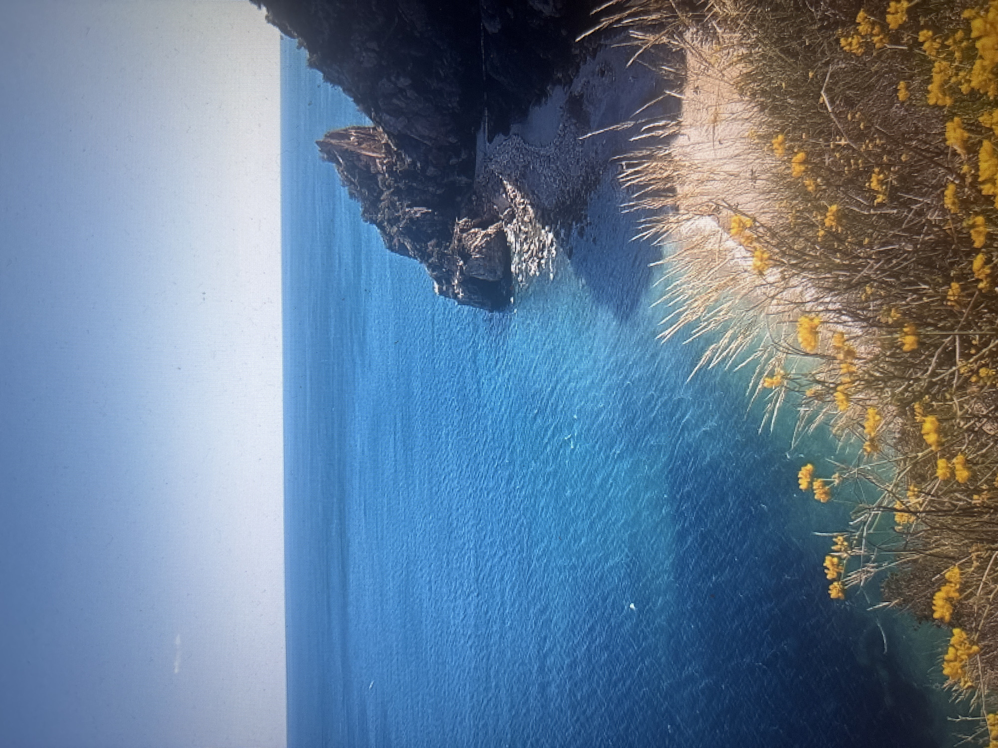 This is a photograph of a rugged coastline with clear blue water. In the foreground, there are tall grasses and yellow wildflowers growing on a cliff overlooking the sea. The sea extends to the horizon, meeting a clear blue sky with a faint cloud. To the right, a rocky cliff juts out into the water, with a small, pebble-strewn beach at its base. The scene is natural and serene, with no people or man-made structures visible. The photograph is taken from a high vantage point, offering a sweeping view of the seascape.
The location of this image is not in Sofia, Bulgaria. Sofia is a landlocked city and does not have a coastline. This image depicts a coastal landscape.