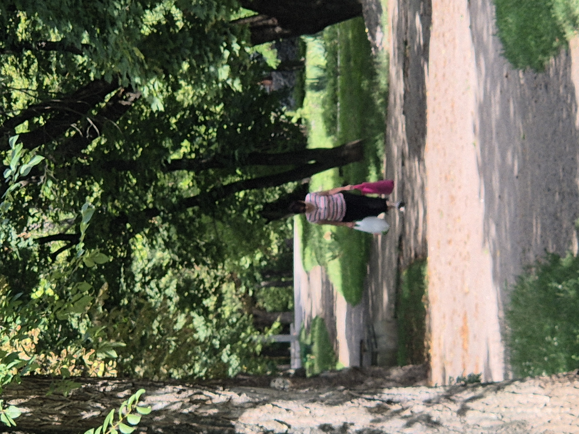 A woman walks along a paved path in a park in Sozonivka, Ukraine. She is wearing a striped shirt and dark pants, and is carrying two shopping bags, one white and one pink. The path is lined with trees and green grass. The sun is shining, casting shadows on the path.