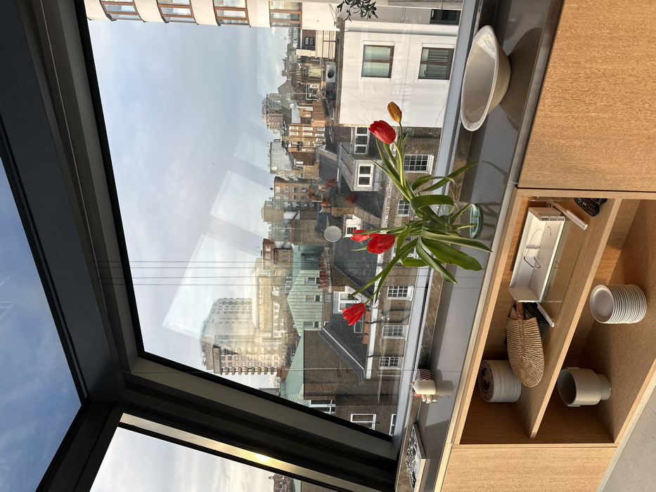 A low-angle interior shot captures a cityscape through a large window. The architecture blends old and new, featuring low-rise buildings with varying rooflines. Red tulips in a clear vase sit on a windowsill, adding a pop of color. To the right, light wood shelves display assorted items, including plates, bowls, and decorative objects. The window's dark frame contrasts with the brighter urban scene beyond.