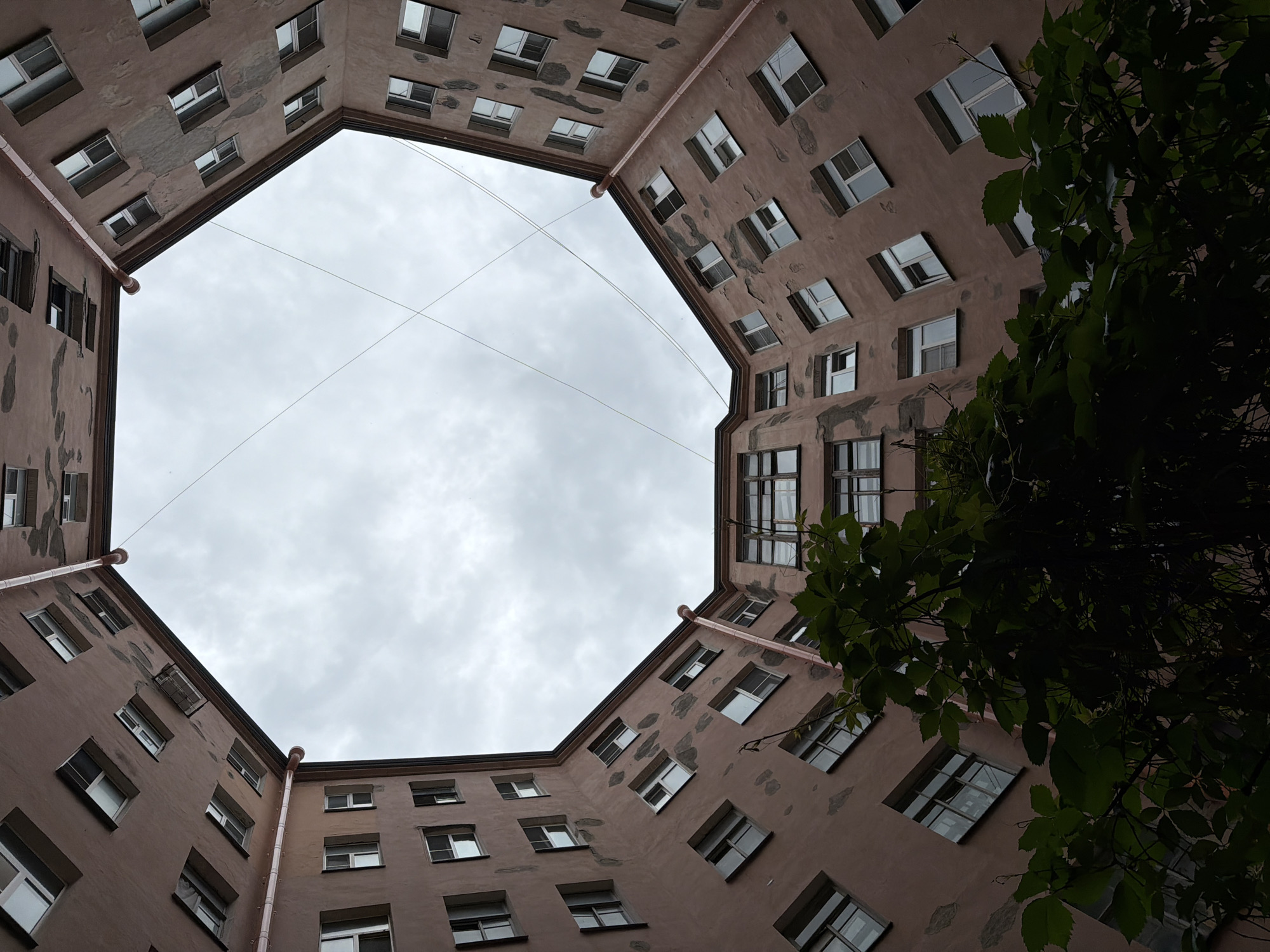 This is a low-angle, wide shot of a courtyard in Saint Petersburg, Russia, looking upwards towards a cloudy sky. The buildings surrounding the courtyard are made of aged, pale pink stucco, with visible signs of wear and tear, including patches of discolored plaster. Numerous windows, uniformly white-framed and glassed, are visible on each level of the buildings, arranged in a regular pattern. A downspout, painted a faded reddish-brown, runs down the side of one of the buildings. In the foreground, dark green foliage from a climbing plant partially obscures the lower portion of the buildings. Thin wires are stretched across the sky in the upper portion of the frame. The overall impression is one of an old, densely built urban environment with a somewhat somber atmosphere due to the overcast sky and the worn appearance of the buildings.