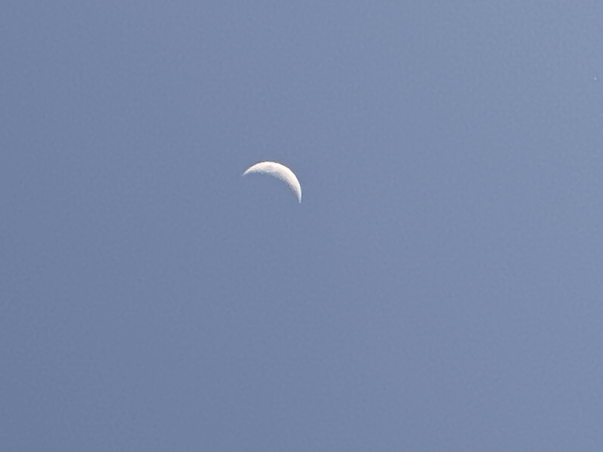 A crescent moon is visible in a clear, pale blue sky. The moon is high in the sky, roughly centered in the frame. The image lacks any information about location in the city of Vladimir, Russia.