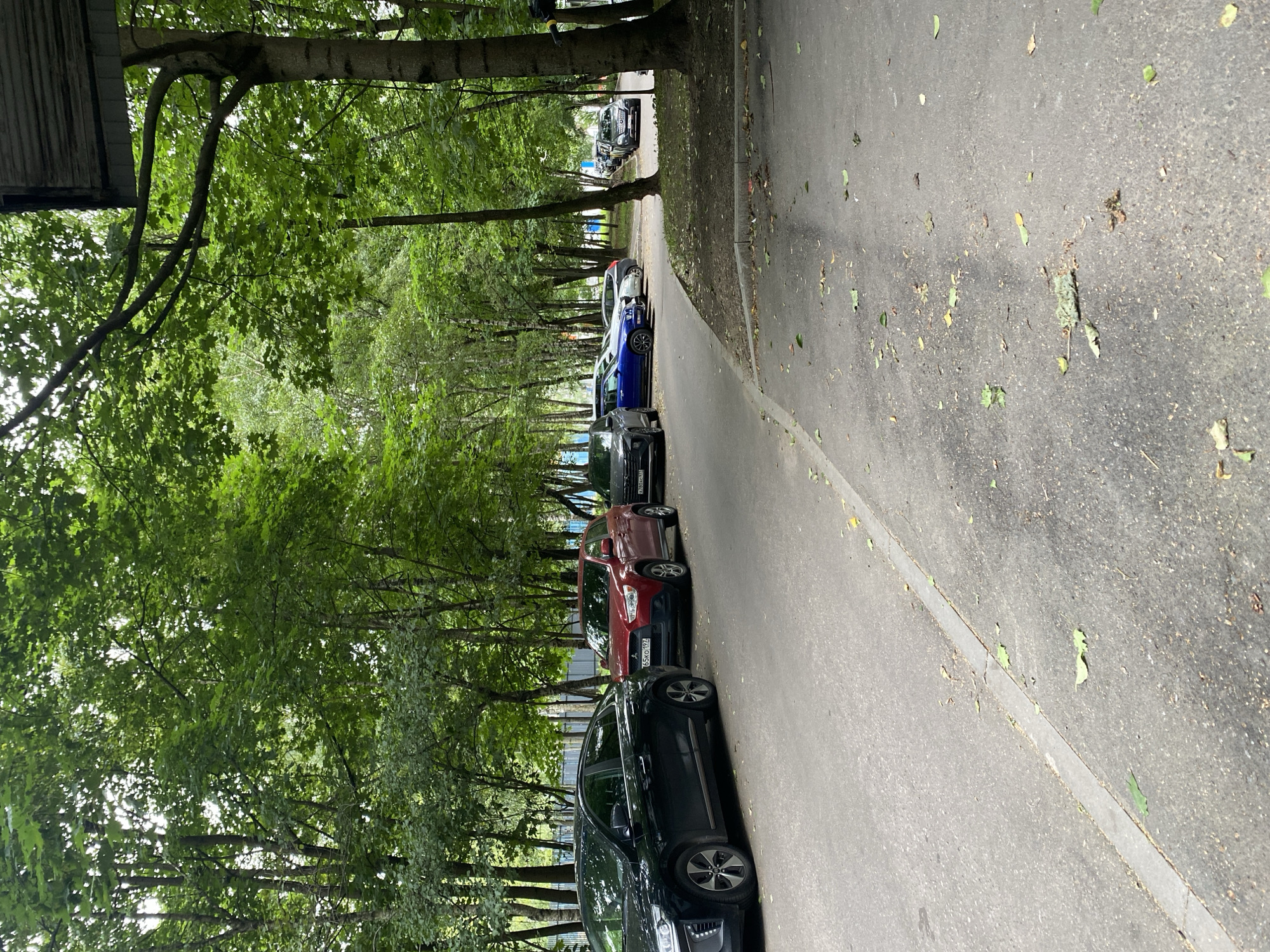 A line of parked cars is visible on the right side of a paved road, bordered by a grassy area and trees. The cars are mostly dark-colored, with one red SUV in the middle of the line. The trees are lush and green, with some sunlight filtering through the leaves. The sky is overcast. The scene appears to be a residential street or parking lot in a densely wooded area.