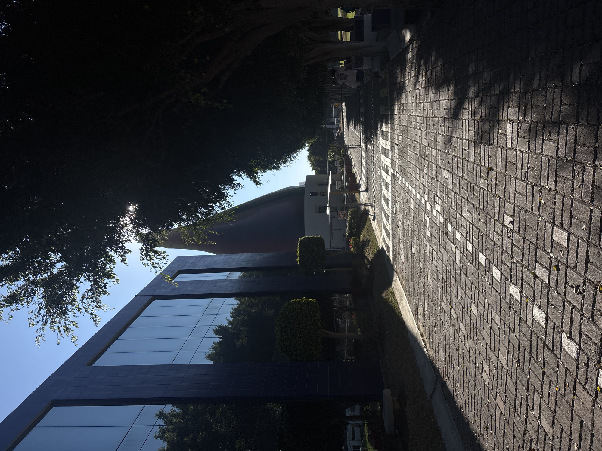 The image depicts a paved pathway in San Bernardino Tlaxcalancingo, Mexico, under bright sunlight, casting strong shadows. On the left, a modern, multi-story building with a dark blue or black facade and large, reflective glass windows stands, mirroring surrounding trees and the sky. In front of this building, a landscaped area features two spherical, green, topiary-style trees and a concrete bench on a patch of grass. The paved pathway, constructed from reddish-brown rectangular bricks laid in a herringbone pattern, features a white-striped crosswalk. Scattered leaves are visible on the pavement. Sunlight illuminates portions of the path, contrasting with areas covered by deep shadows from a row of large trees with dense foliage lining the right side of the path. Further down the pathway, near what appears to be a controlled access point with barricades, a person wearing a light-colored shirt with the number "10" on the back walks away from the camera. Another indistinct figure is visible further in the distance on the right. In the background, beyond the barricades, a building with a distinctive dark, conical or dome-shaped roof is partially visible against a clear blue sky.
