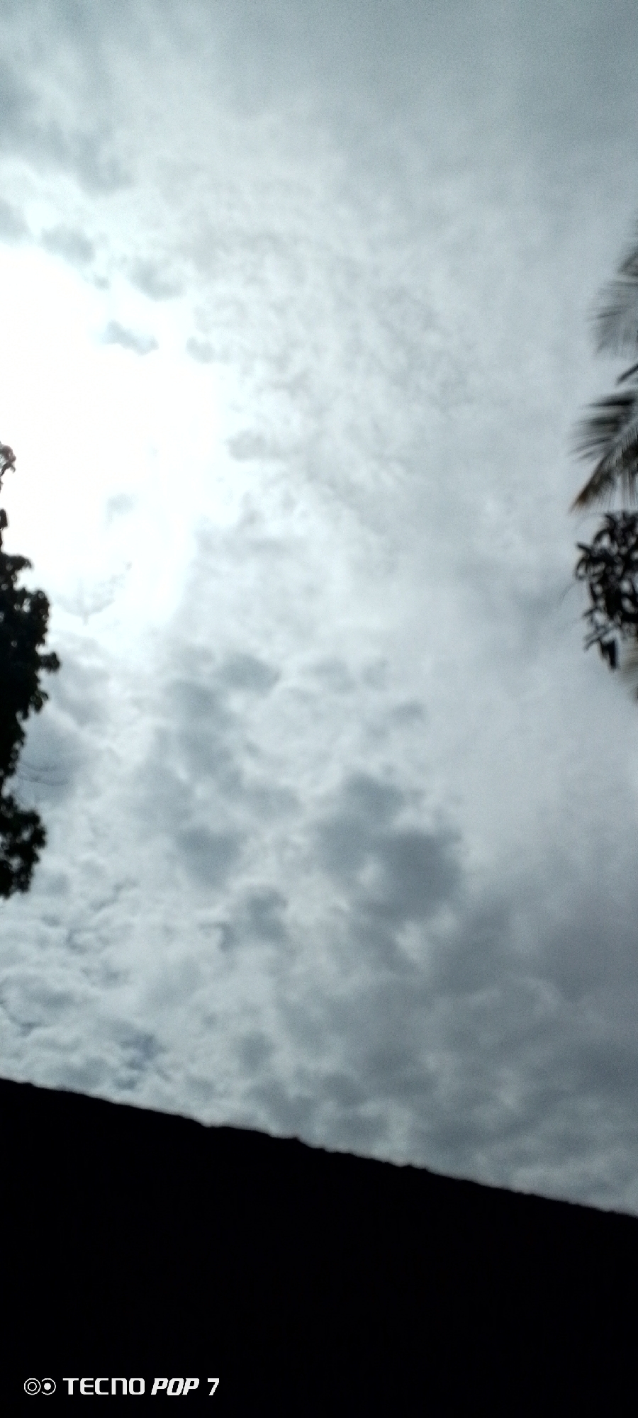 The image is a vertical, low-angle shot of a cloudy sky above what appears to be a dark, silhouetted structure in the foreground. The sky is filled with a mix of white and gray clouds, with a bright area on the left suggesting sunlight attempting to break through. On the far left and right edges of the image, dark, silhouetted foliage from trees is visible, one appearing to be a palm tree frond on the right. The bottom of the image is dominated by a solid black area, which is likely the roof or upper portion of a building or structure, with the text "TECNO POP 7" imprinted in the bottom left corner. The scene does not depict any people or specific landmarks that would indicate its location in Altagracia, Venezuela.