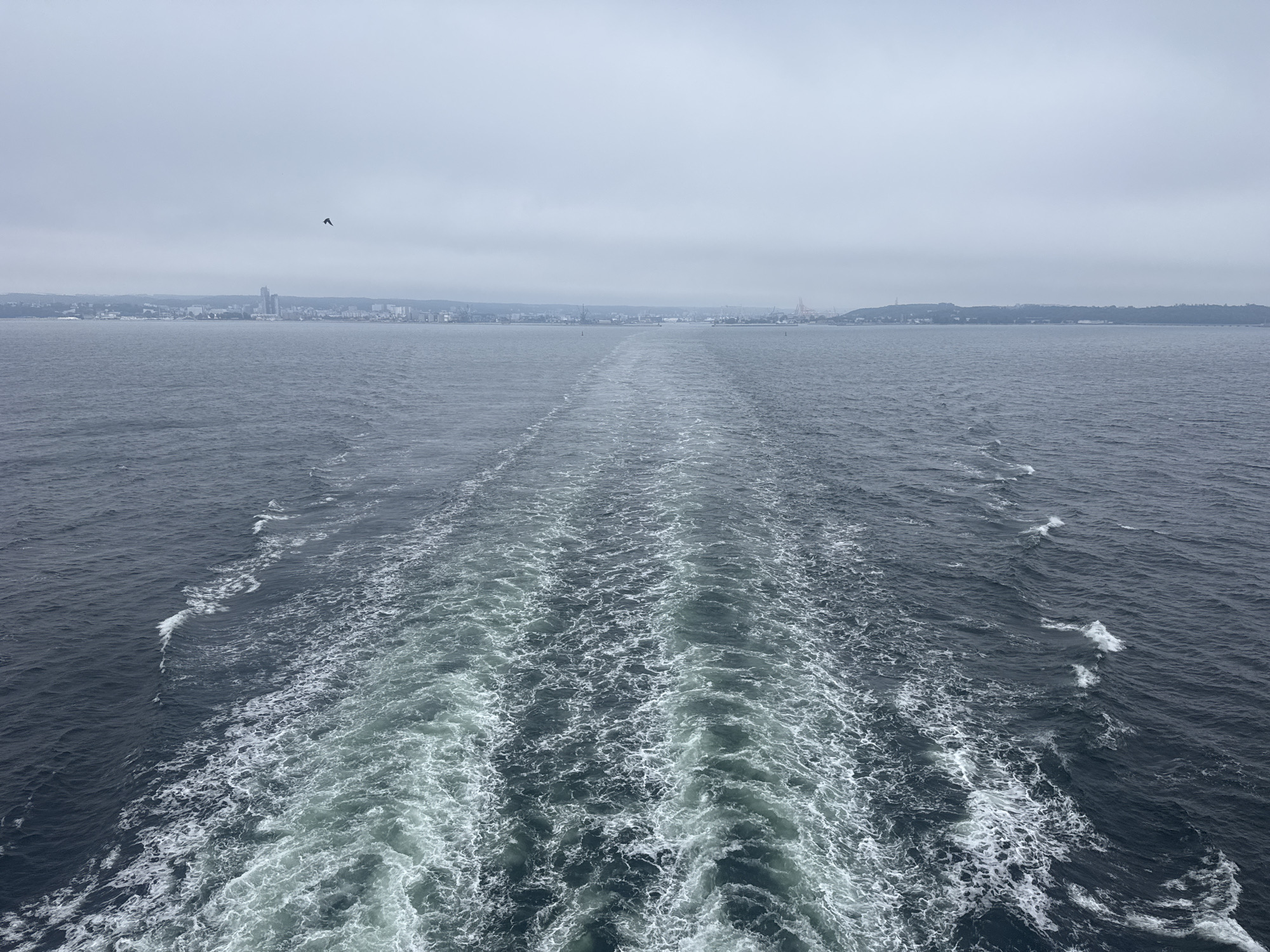 The image captures a wide view of the sea with a prominent wake trailing behind an unseen vessel, suggesting it was taken from a ship. The water is a deep blue, churned into white foam and turbulent patterns by the ship's passage. In the distance, a hazy, overcast sky looms over a coastal city. The city skyline features several buildings, including what appears to be a tall skyscraper, and industrial elements such as cranes are visible along the waterfront. The coastline stretches across the horizon, with a slight incline suggesting hills or elevated terrain. A single bird is silhouetted against the sky in the upper left quadrant. The overall impression is a cool, muted scene, characteristic of an overcast day at sea with a view of an urban coast. The city depicted is Gdynia, Poland, recognizable by its characteristic skyline and port infrastructure.