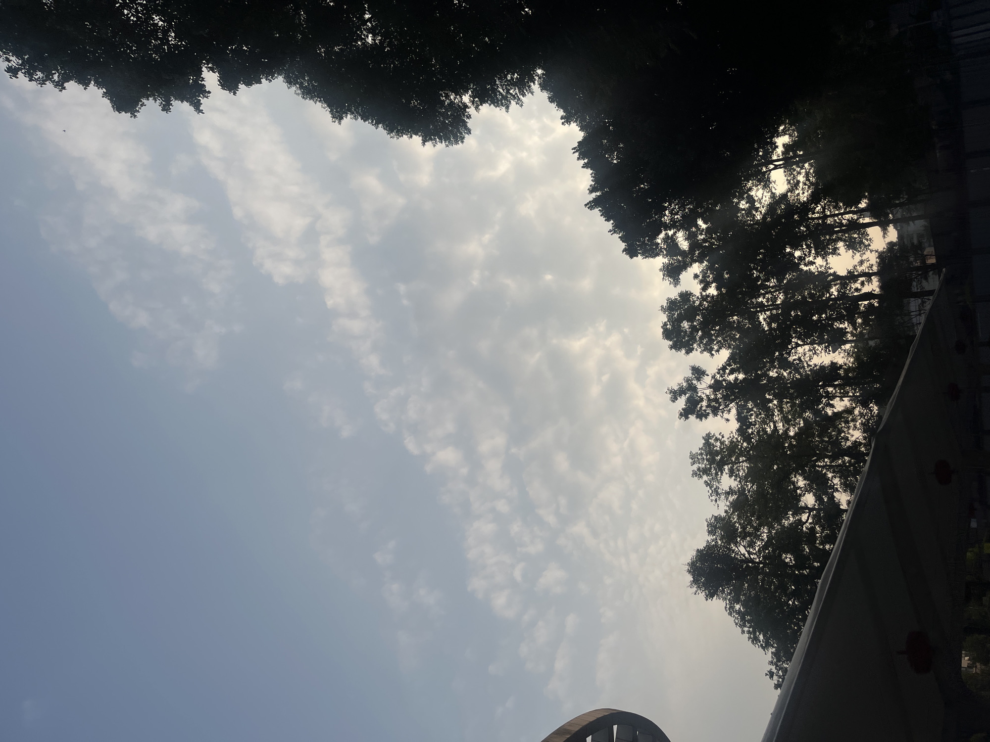 The image displays a sky with scattered white and light gray stratocumulus clouds against a pale blue upper background, transitioning to a brighter, hazy white-yellow on the right and lower sections. Trees, predominantly deciduous, form dark silhouettes across the upper right, right edge, and lower mid-ground. A distinct dark, curved architectural structure is partially visible in the upper left foreground. Below the tree line, a dark canopy or awning is present, with two red lanterns visible hanging underneath in the lower-left quadrant. Distant urban structures are faintly visible through the tree foliage. The overall lighting suggests a low sun, possibly early morning or late afternoon, causing pronounced backlighting and silhouettes. No people are present, nor are any specific actions or interactions depicted. This scene is situated in Yuzhong District, China.