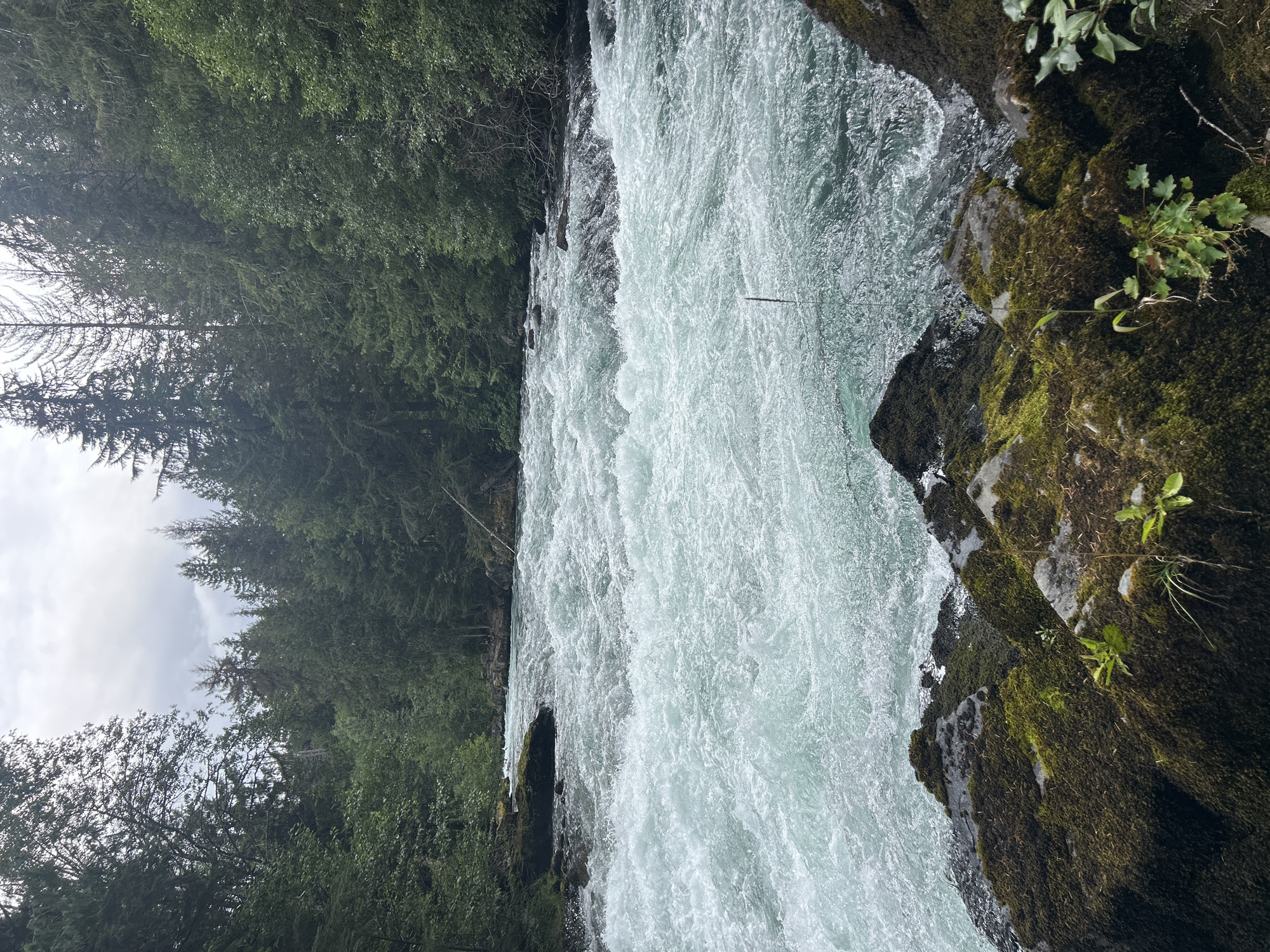 A rushing river flows through a dense forest in Whistler, Canada. The water is a vibrant turquoise, churning over rocks and creating whitewater rapids. The riverbanks are lined with lush green trees, with moss-covered rocks in the foreground. The sky is overcast, casting a soft light on the scene. There are no people or animals visible in the image. The overall impression is one of wild, untamed nature.
