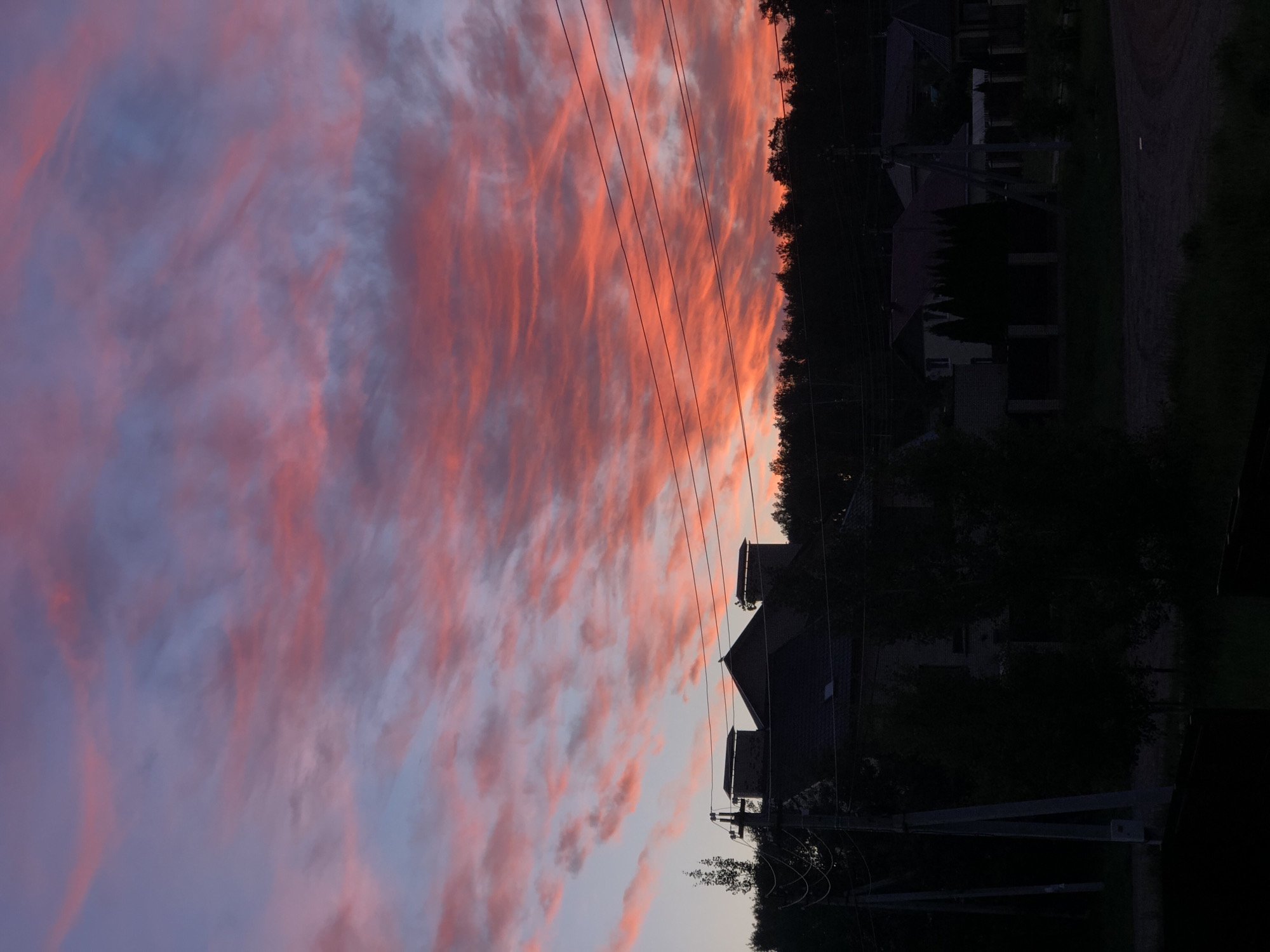 The image captures a dramatic twilight sky, likely a sunset, over a rural or suburban landscape in Noviy, Russia. The vast sky occupies the majority of the frame, showcasing vibrant and intense cloud formations. Fiery hues of orange, red, and deep pink dominate the central portion of the sky, blending into softer purples, grays, and light blues towards the upper and lower edges. The clouds are predominantly streaky, elongated, and wispy, creating a dynamic, almost painterly texture across the expanse.
Multiple dark power lines or utility wires diagonally traverse the colorful sky, connecting to silhouetted utility poles visible in the foreground. Along the horizon, a dark, undulating silhouette of dense trees or foliage stretches across the scene. Below this tree line, the shadowed forms of several houses or buildings are discernible, their roofs and general structures faintly visible against the dimming light. The entire foreground, including the trees, houses, and utility poles, is rendered in deep shadow, emphasizing the brilliant, colorful spectacle of the sky above. There is no visible text or any human or animal activity depicted in the photograph.