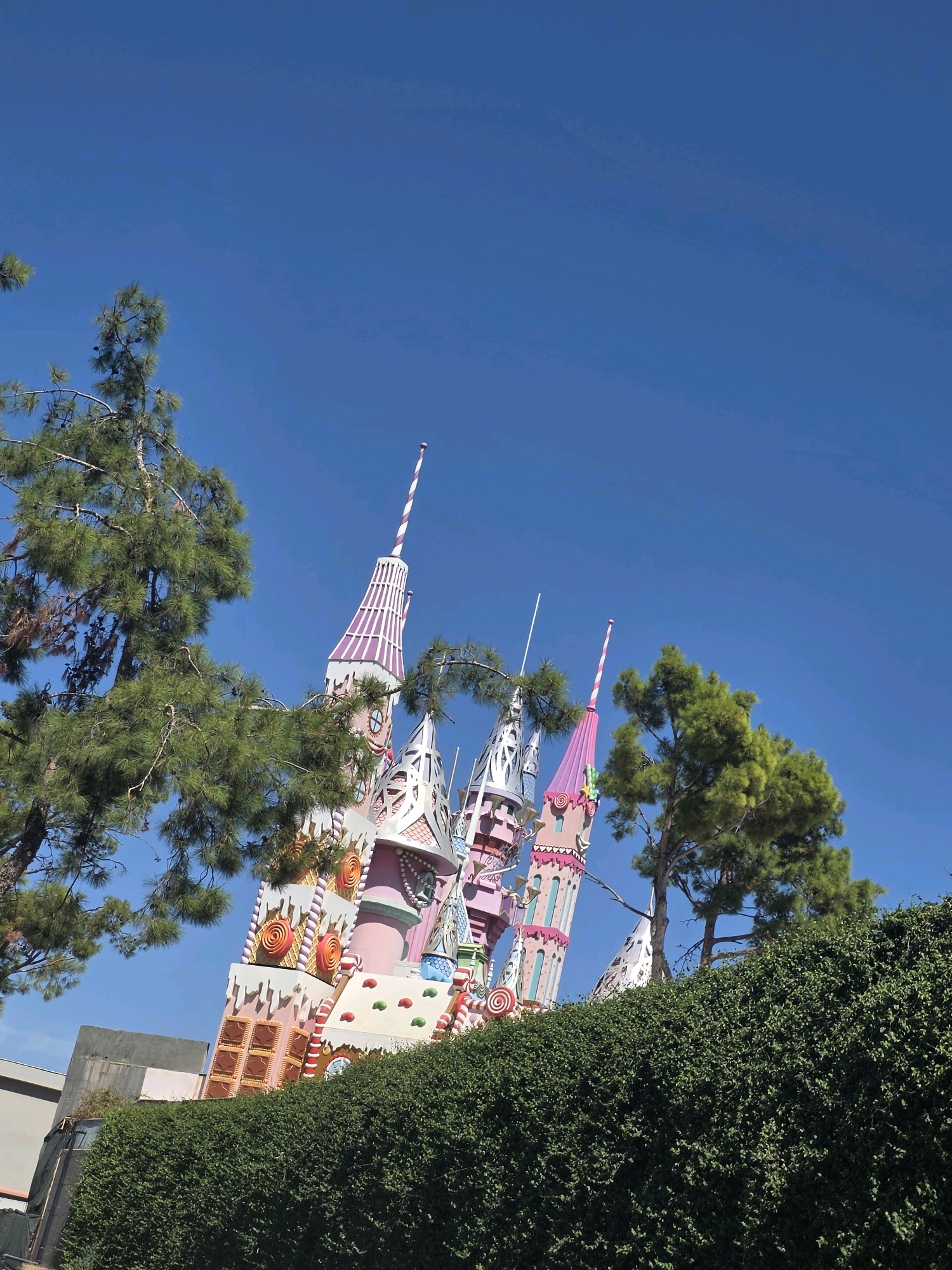 An exterior shot depicts a vibrant, candy-themed castle against a clear blue sky. The castle, which appears to be a theatrical or amusement park prop, features multiple spires and towers in bright pink, white, and purple. These structures are adorned with decorative elements resembling candy, such as striped patterns, swirl designs, and what look like candy buttons and lollipops.
In the foreground, a dense, dark green hedge runs horizontally across the bottom of the frame, partially obscuring the base of the castle. To the left and right of the castle, tall green pine trees with sparse foliage reach towards the sky, with branches extending into the frame.
Behind the castle, a portion of a plain, light gray building is visible on the left, with darker construction elements and fencing also present. The lighting suggests a sunny day, casting no strong shadows on the castle itself. The scene is presented from a low-angle perspective, emphasizing the height and whimsical nature of the castle. The location is identified as Unknown, Unknown.