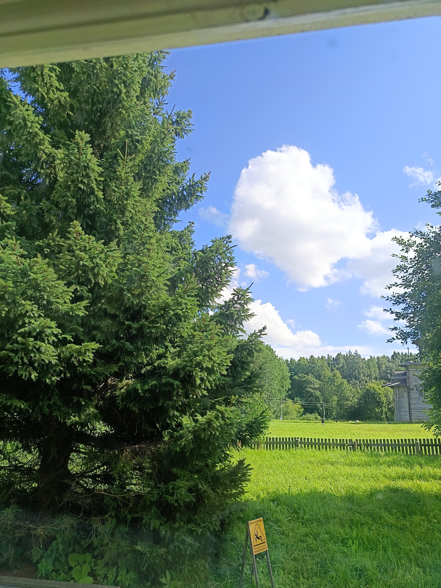 The image depicts an outdoor scene in Semenkovo, Russia, on a sunny day with a blue sky and scattered white clouds. In the foreground, a large, dense evergreen tree dominates the left side of the frame. To the right, a bright green, well-maintained grassy field stretches towards a wooden fence. Beyond the fence, a dense line of green trees forms the horizon. A portion of a rustic wooden building, likely historical given the location, is visible on the far right, partially obscured by foliage. A yellow warning sign with an icon of a person falling and text in Cyrillic is placed in the field near the fence. The overall impression is one of a peaceful, rural setting.