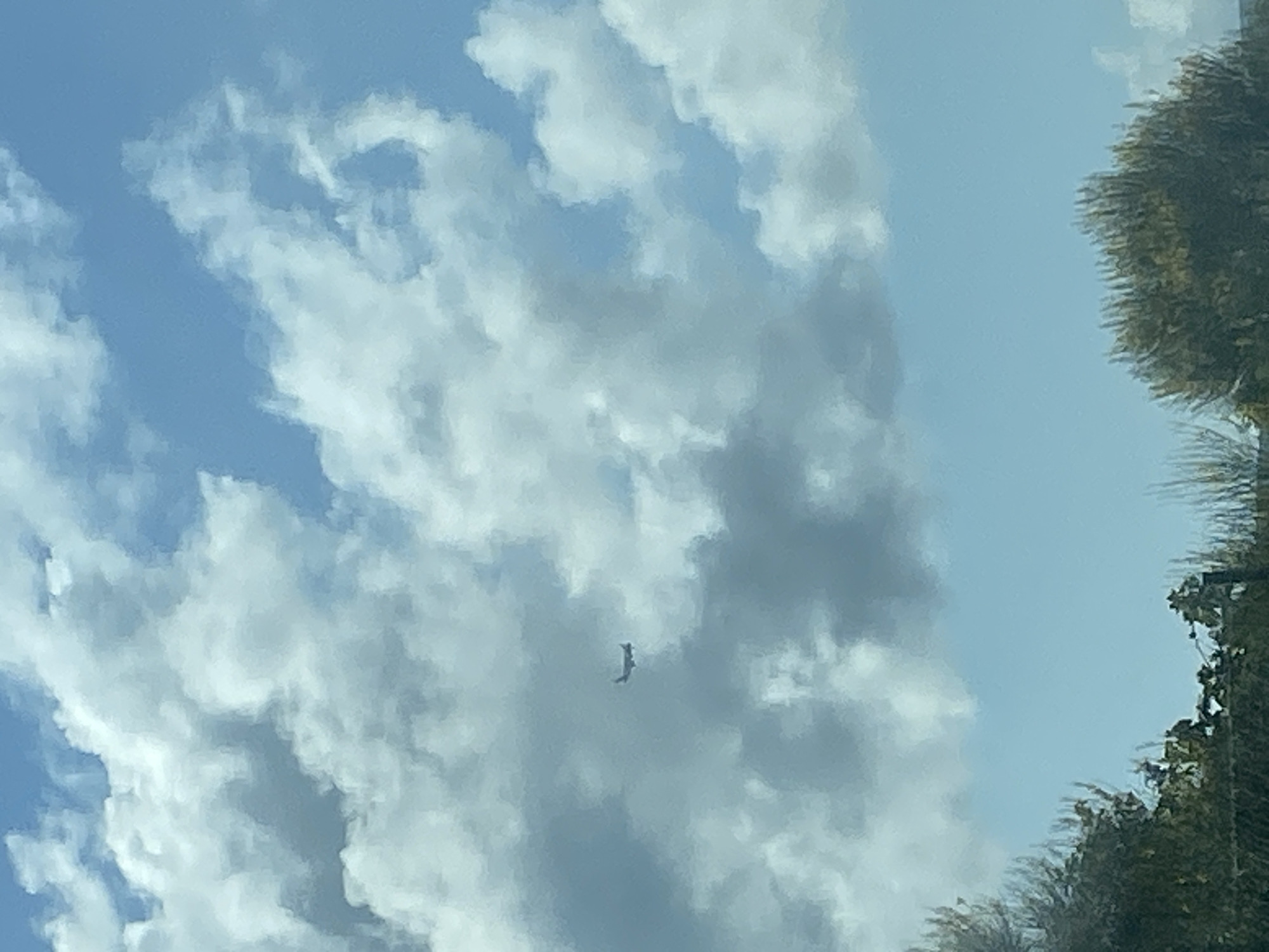 The image shows a bright, daytime scene with fluffy, white clouds scattered against a blue sky. A dark, vertical object resembling a small aircraft or drone is visible in the center of the frame. The right side of the image features a blurred, dark green mass that appears to be foliage from trees. The location and the city of Budva, Montenegro are not evident in the image.
