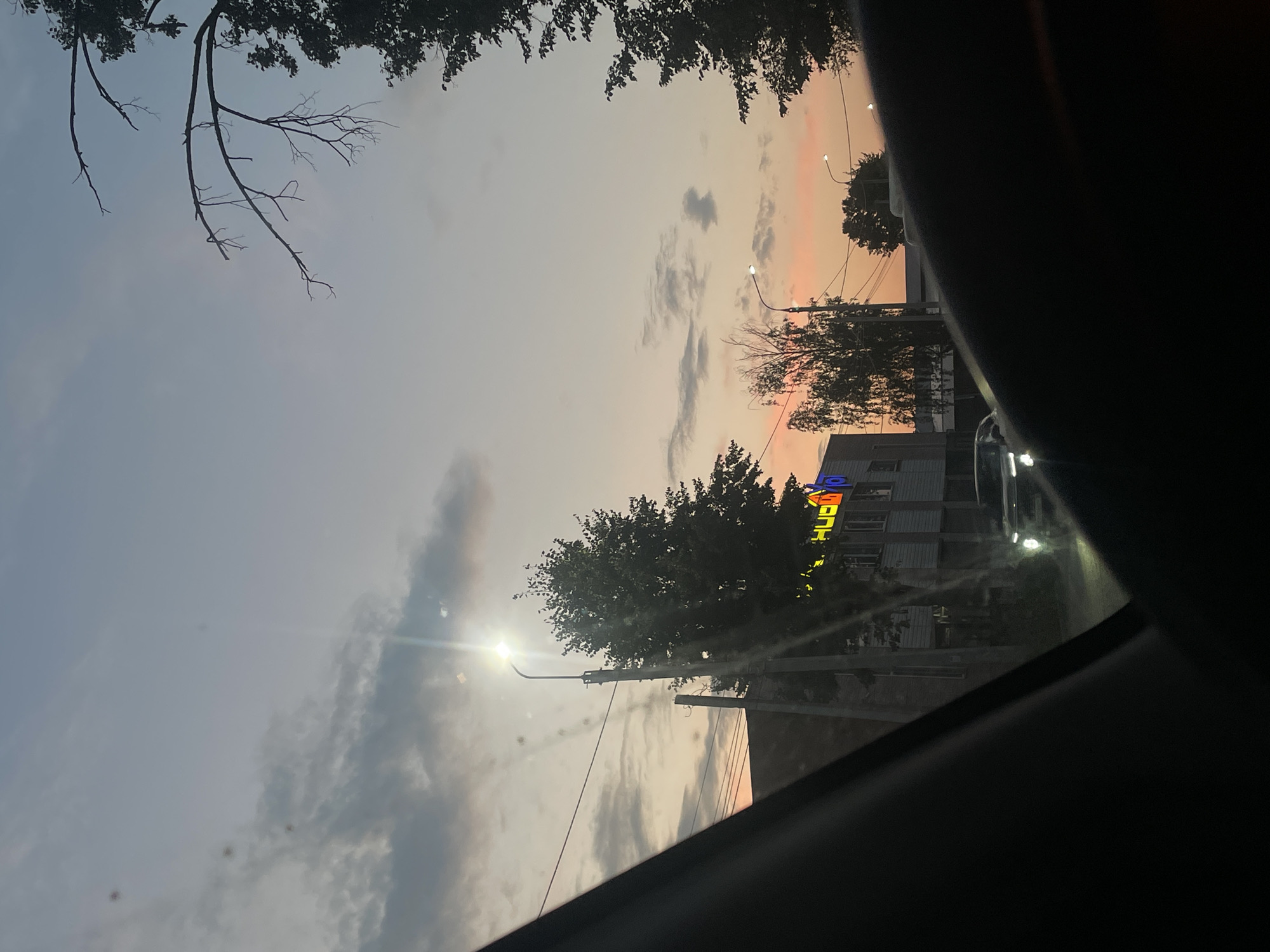 This is a photograph taken from inside a vehicle, looking out at a street scene in Votkinsk, Russia during dusk. The sky is a soft gradient of blue, gray, and orange, indicating the transition from day to night. Several clouds are visible, some dark and others illuminated by the setting sun. Silhouetted tree branches frame the top of the image on the right side.
On the left side of the frame, a building with a light-colored facade is visible. A sign with bright, colorful lettering is mounted on the building; the visible portion appears to spell out "HUBOP". A streetlamp on a concrete pole shines brightly, casting a strong light. A large, leafy tree stands behind the streetlamp, also silhouetted against the sky.
In the middle ground, a car with its headlights on is driving down the street. The road surface is dark, and it appears to be an urban or suburban setting with power lines and poles also visible. The foreground is dominated by the dark interior of the vehicle from which the photograph is taken, specifically the dashboard and possibly a car window frame. The overall impression is a moment captured during a drive through Votkinsk as evening sets in.