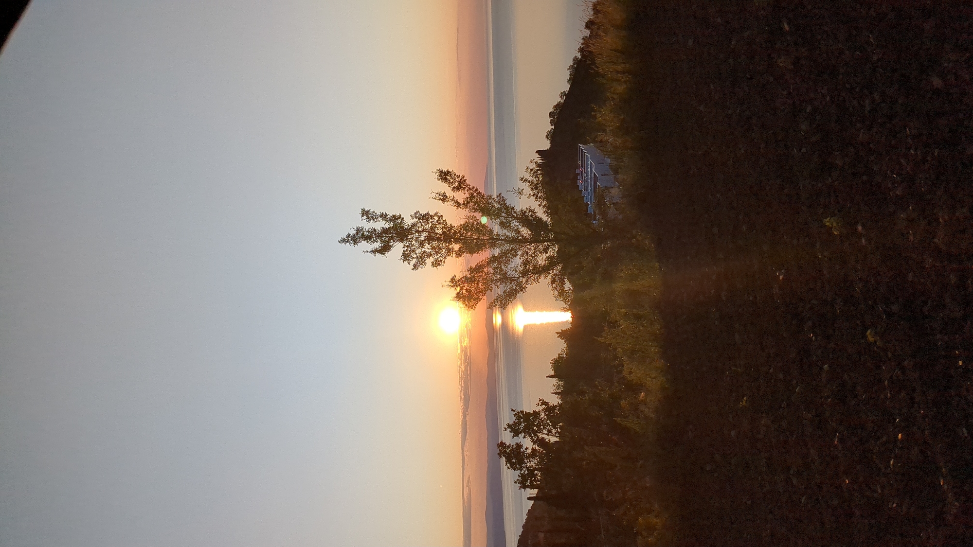 The image depicts a sunset over the sea, viewed from a hillside overlooking the water. The sun, a bright orb, is partially obscured by the horizon, casting a shimmering reflection on the calm sea. A tall, slender tree stands in the foreground, its branches silhouetted against the warm hues of the sky. Below the tree, a modern building with a white facade and blue accents is visible, nestled on the slope. The foreground consists of dark, tilled earth, possibly a field or garden, with some scattered dry leaves. The environment appears to be a coastal area with vegetation and hints of human development. The location is identified as Malyi Mayak, Ukraine.