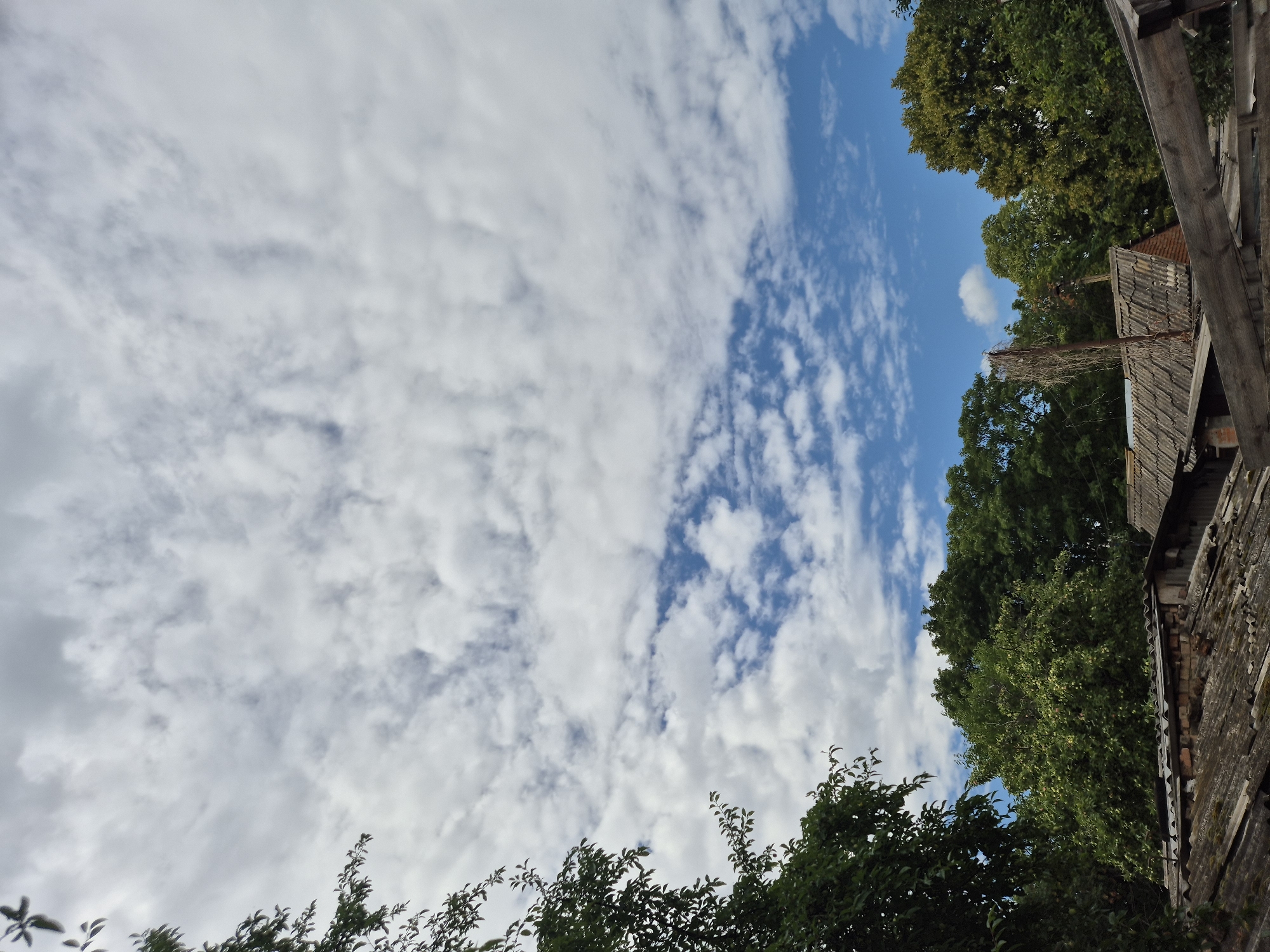 A vertical, outdoor, medium shot shows a partially constructed or dilapidated rural building with a corrugated roof under a partly cloudy sky. The sky takes up approximately two-thirds of the frame, with scattered white clouds against a bright blue background. The top left of the image features dark green foliage. Below the sky, a dense line of green trees extends across the mid-ground. In the foreground, weathered wooden planks are piled up, with parts of the building visible behind them. The building features a brick structure with a grey, textured corrugated roof. The scene appears to be set in Sozonivka, Ukraine. There are no people visible in the image.