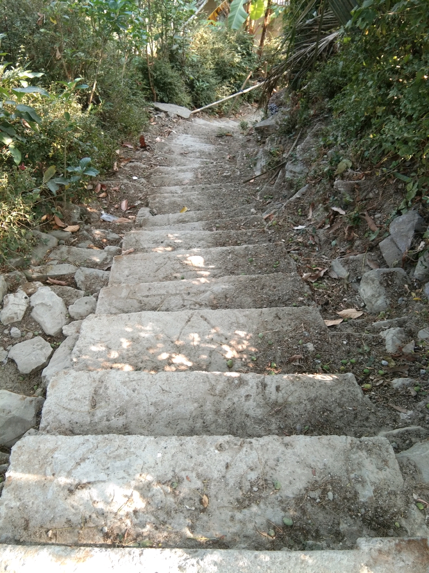 An outdoor shot captures a steep concrete staircase with uneven, worn steps. The path is flanked by dense vegetation on both sides, with rocks and dirt visible along the edges and scattered on the steps. Sunlight casts dappled shadows across the concrete. The scene appears to be a rustic pathway in a rural or natural setting within Karangsambung, Indonesia.