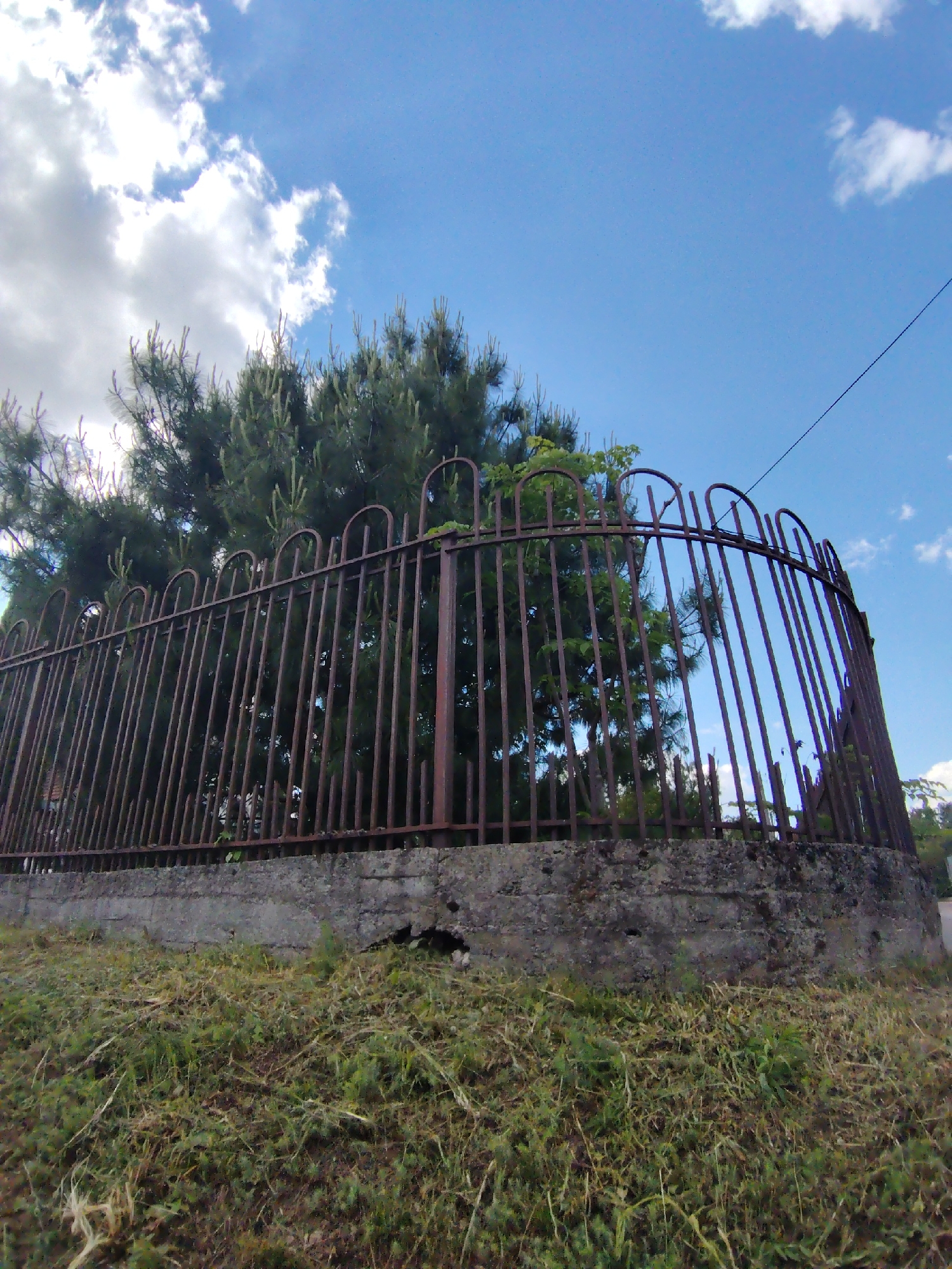 A ground-level, eye-level shot shows a rusty, curved metal fence enclosing a section of greenery within Бараўлянскі сельскі Савет, Belarus. The fence has a concrete base, which appears aged with dark stains and a hole visible on the side facing the camera. The metal bars of the fence are vertically aligned and have arched tops. Behind the fence, there are trees with dense green foliage. The sky is blue with scattered white clouds, and a power line is visible in the upper right corner of the frame. The ground in front of the fence is covered in green grass and weeds.