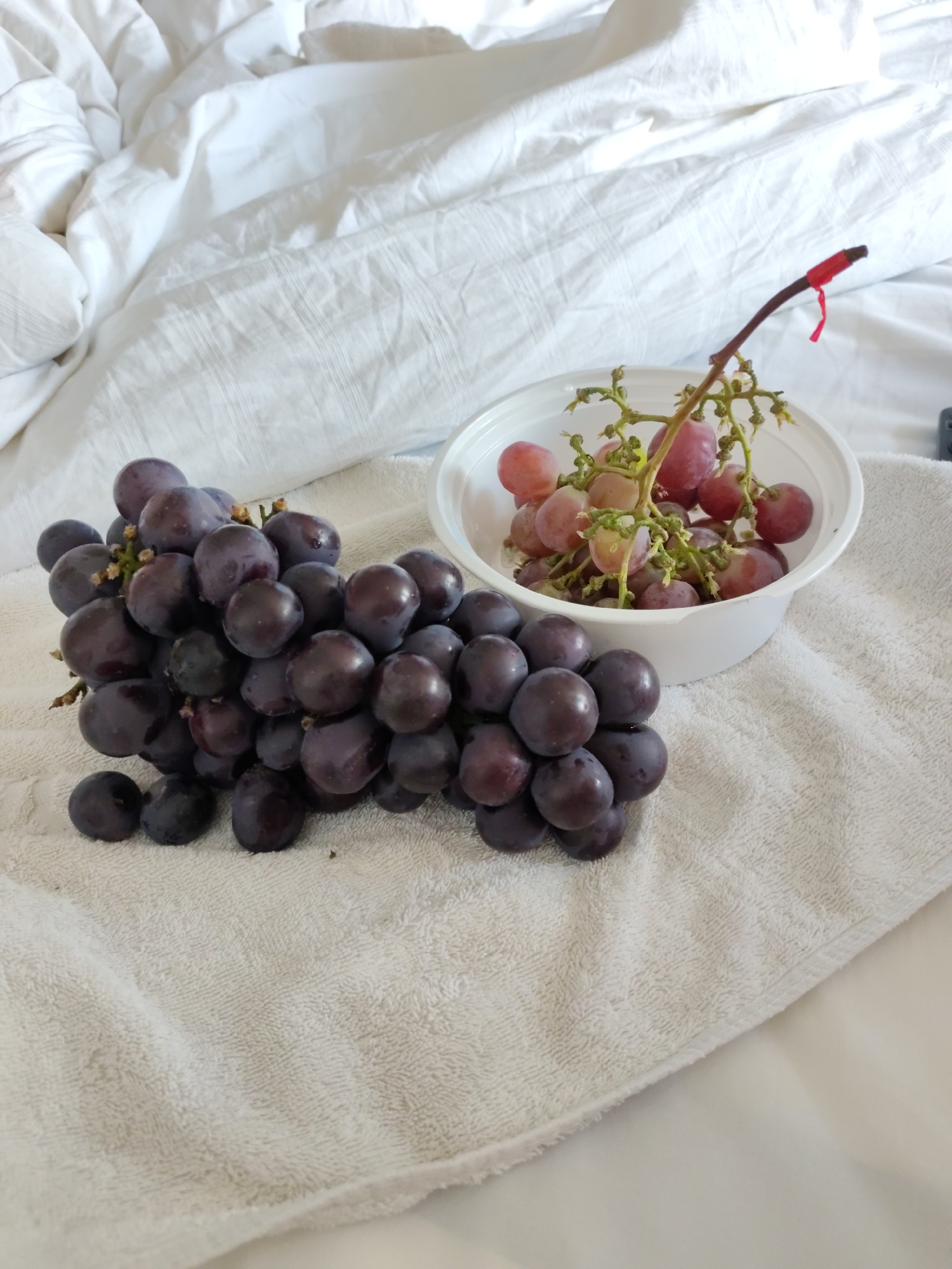 A bunch of dark purple grapes rests on a textured white towel, with a white plastic bowl filled with red grapes beside it. The grapes are positioned on the towel, which is spread across a white, rumpled surface that appears to be a bed. The background consists of white bedding. The scene suggests an indoor setting, possibly a bedroom. There are no people or animals present. The overall impression is one of a simple, still life composition. There is no indication of the location in Lindian, China.