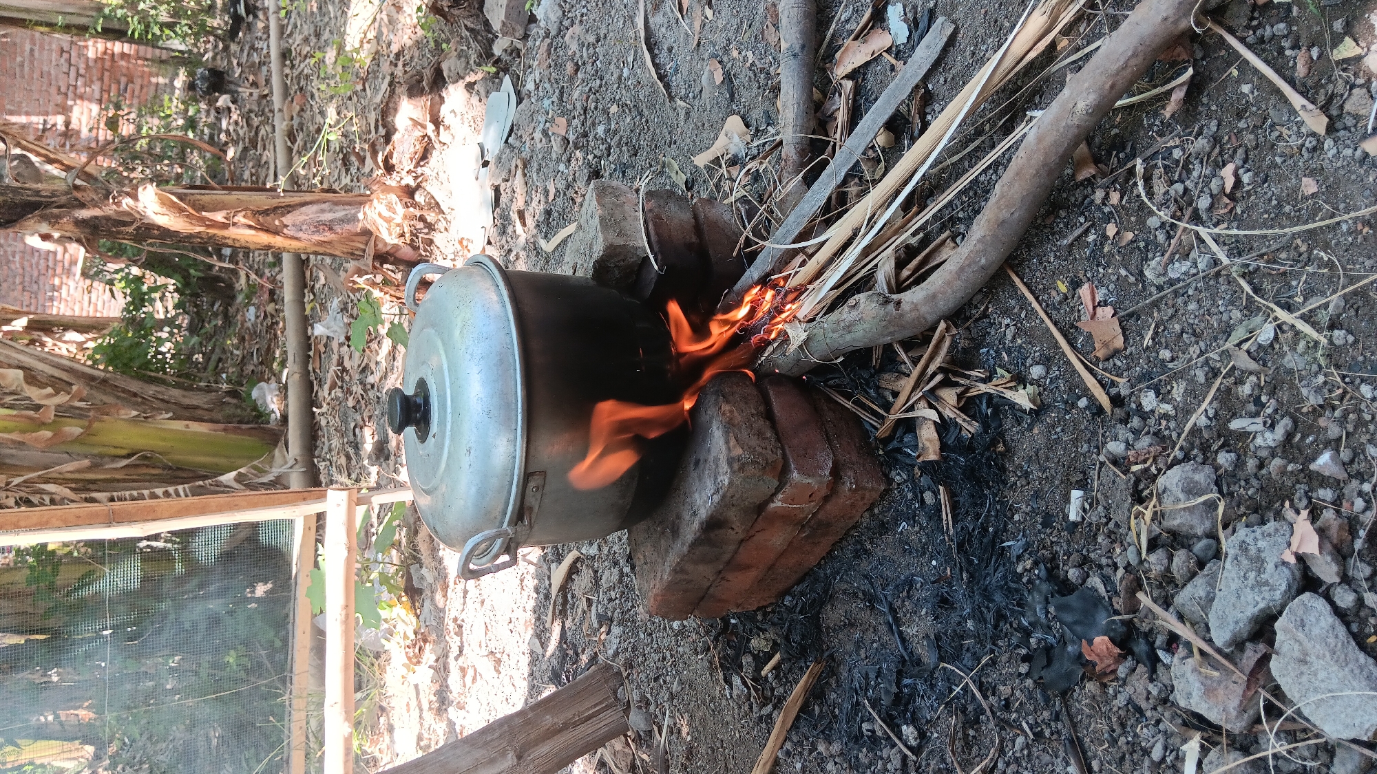 In Sonobekel, Indonesia, an outdoor scene depicts a cooking setup. A large metal pot with a black lid is placed on a makeshift stove constructed from stacked bricks. The pot is heated by a fire burning with orange flames. Surrounding the stove are scattered dry leaves, twigs, and charcoal residue. The ground is covered with small stones and dirt. In the background, banana trees stand tall, and a brick wall is partially visible. A wooden structure with a mesh screen is also present, and in the distance, a black chicken can be seen walking. The overall environment suggests a rural or less developed setting.