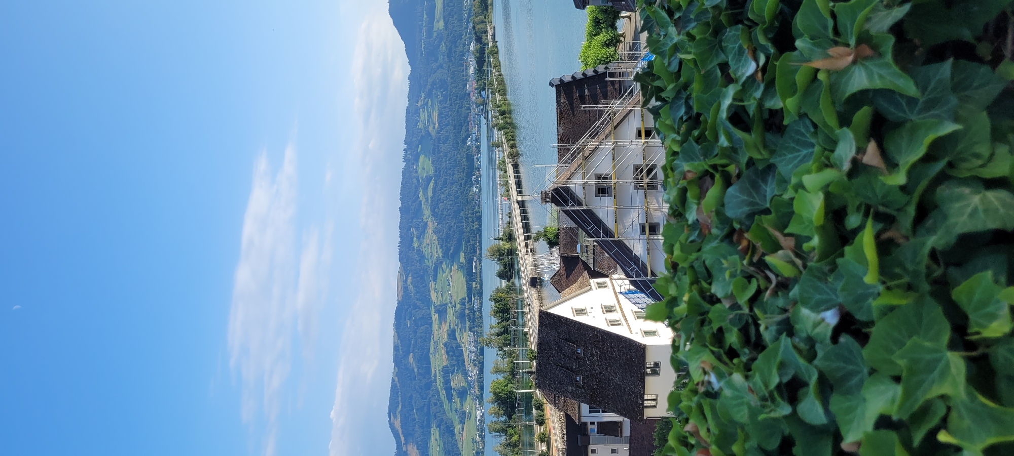 The image depicts a scenic view from Rapperswil-Jona, Switzerland, overlooking a wide body of water, likely Lake Zurich, with rolling green hills in the background. In the foreground, lush green ivy covers the lower portion of the frame, partially obscuring the view of buildings and infrastructure.
Prominently featured are several historic-looking buildings with dark tiled roofs. One building, painted white, is partially covered in scaffolding, suggesting ongoing renovation or construction work. Adjacent to it, another white building also appears to be undergoing some form of external work. The architectural style of these buildings suggests a European setting.
Beyond the immediate buildings, a long bridge spans the water, connecting different parts of the landscape. This bridge appears to be a significant structure, possibly carrying road and rail traffic, as indicated by visible tracks or road surface. Islands with trees are visible in the water, and further in the distance, a picturesque panorama of gently sloping hills with patchwork fields and scattered trees unfolds under a clear blue sky with a few wispy clouds. A sliver of the moon is visible in the upper portion of the sky. The overall impression is one of tranquility and a harmonious blend of nature and human settlement.