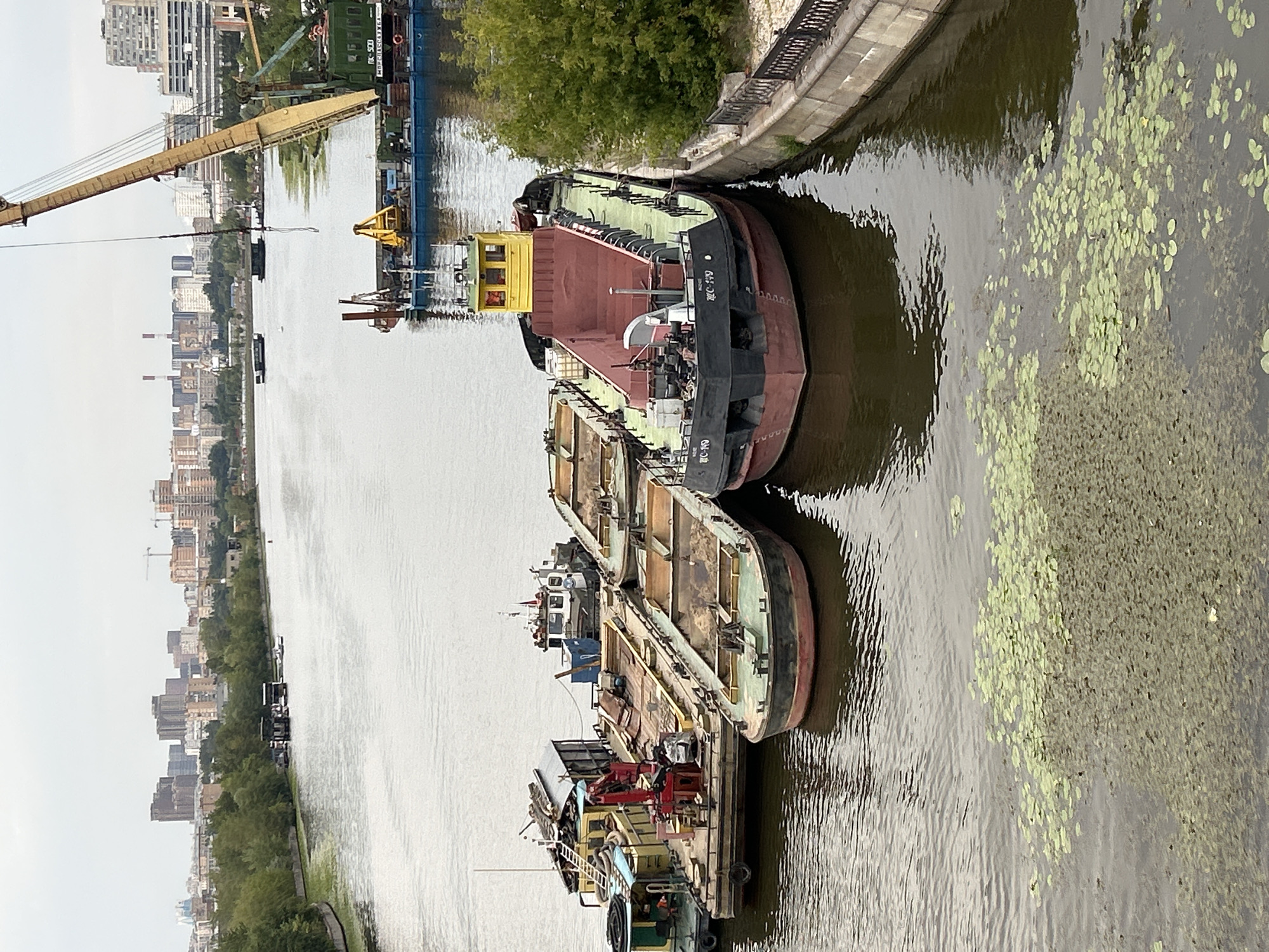 In an urban river setting, several barges are moored alongside a concrete embankment. A large red and black barge with a yellow cabin is positioned closest to the viewer, docked to the right. To the left of this barge, three other barges are lined up. The leftmost barge is yellow and green with a crane. Next to it is a long, flat-bottomed barge with a metal structure. The third barge, also long and flat, is situated behind these. In the background, the river extends towards a cityscape with various buildings and a prominent construction crane. The water is partially covered with aquatic plants, and the sky is overcast.