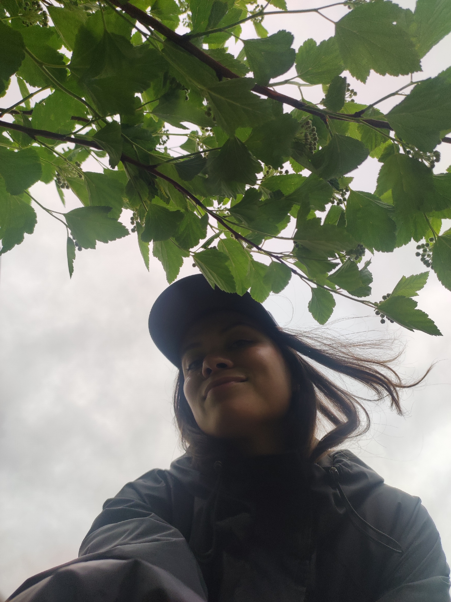 A low-angle, close-up shot depicts a person wearing a dark cap and a gray jacket. Their hair is windblown. Above them are branches with green leaves. The overcast sky is visible in the background. The location cannot be determined from the image.