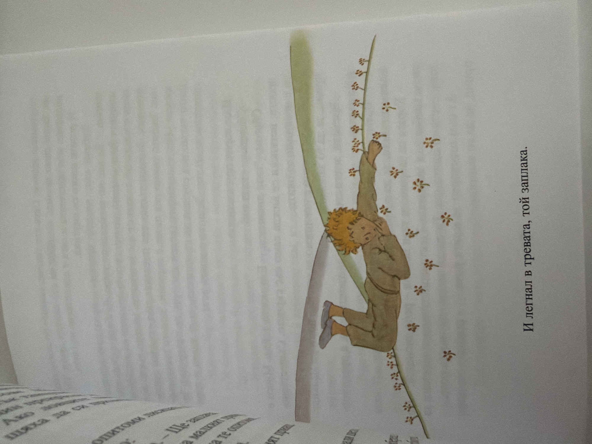 The image shows a page from a book, open to a scene with an illustration and text. The illustration depicts a young boy with blond hair, wearing a brown outfit and grey shoes, lying on his back on a grassy slope. He is looking upwards with a pensive expression and appears to be crying. Small red and orange flowers are scattered on the grass around him. The text below the illustration is in Cyrillic script and reads, "И легнал в тревата, той заплака." This translates to "And lying in the grass, he cried." The text on the left side of the page is also in Cyrillic, but is partially obscured and out of focus. There is no indication of the city of Pazardzhik, Bulgaria, within the image.