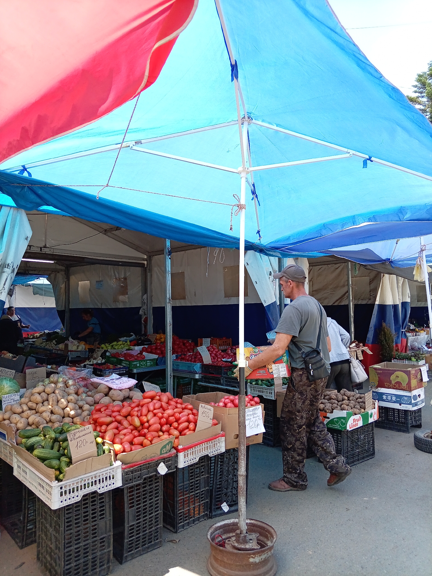 An outdoor market stall is depicted, with a man in camouflage pants and a grey t-shirt, wearing a cap and a crossbody bag, is seen walking past a display of vegetables. He is in motion, with his right leg extended forward and his left foot on the ground. The stall is covered by a large blue and red tarp, supported by a white metal frame. In the foreground, crates are filled with produce, including potatoes, cucumbers, and tomatoes. Several signs with pricing information are visible on the crates. In the background, other market stalls and people are present. The ground is paved with asphalt.