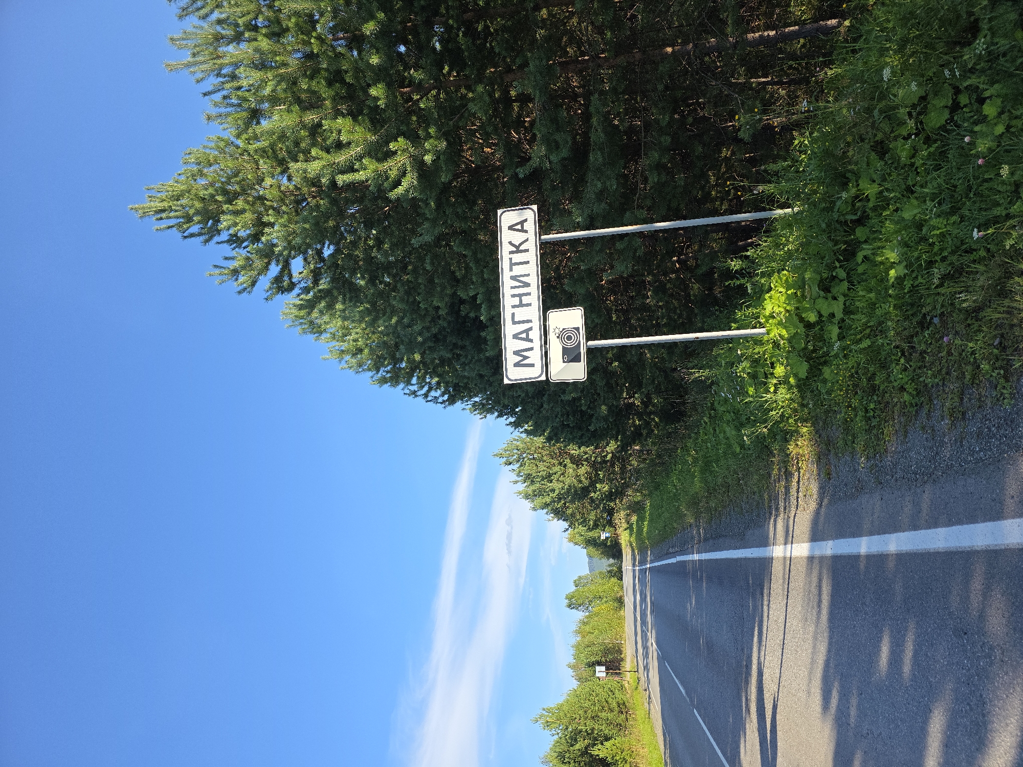The image shows a road sign in Russian that says "МАГНИТКА" (Magnitka) on a white rectangular sign with a black border. Below this sign is another smaller rectangular sign with a black border displaying a white camera icon, indicating a speed camera or surveillance area. The signs are mounted on two metal poles. The scene is set in a rural or forested area, with tall pine trees lining the right side of the road. A paved road with white lane markings stretches into the distance, curving slightly to the left. The sky is clear blue with a few wispy white clouds. The overall environment suggests a roadside location in a natural setting.
