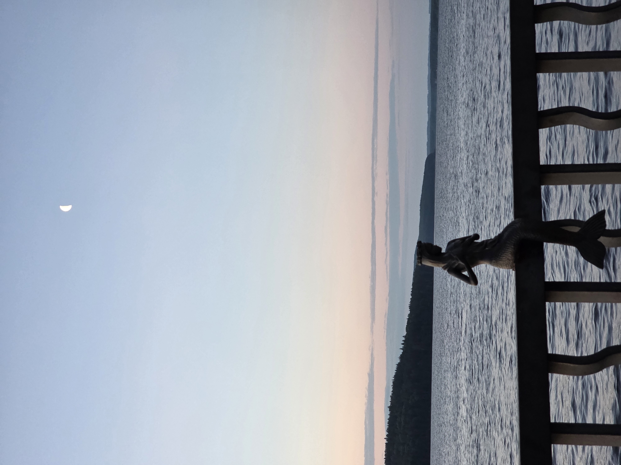 A statue of a mermaid is perched on a dark wooden railing overlooking a calm body of water. The mermaid, cast in a dark material, faces to the right, with her tail descending into the railing. The water's surface is rippled, and in the distance, a dark, tree-covered hill stretches across the horizon. Above the hill, a soft, pastel-colored sky transitions from light pink near the horizon to a pale blue higher up. A sliver of the moon is visible in the upper portion of the sky. The scene appears to be captured during twilight, suggesting a serene evening setting. This location is the embankment on the Kama River in Chaikovsky, Russia.